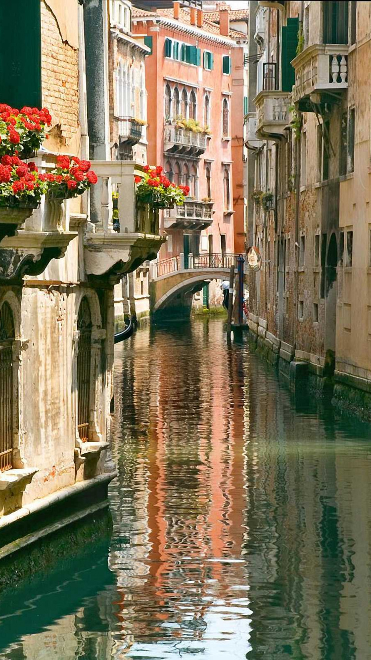 White and Brown Concrete Building Beside River During Daytime. Wallpaper in 750x1334 Resolution