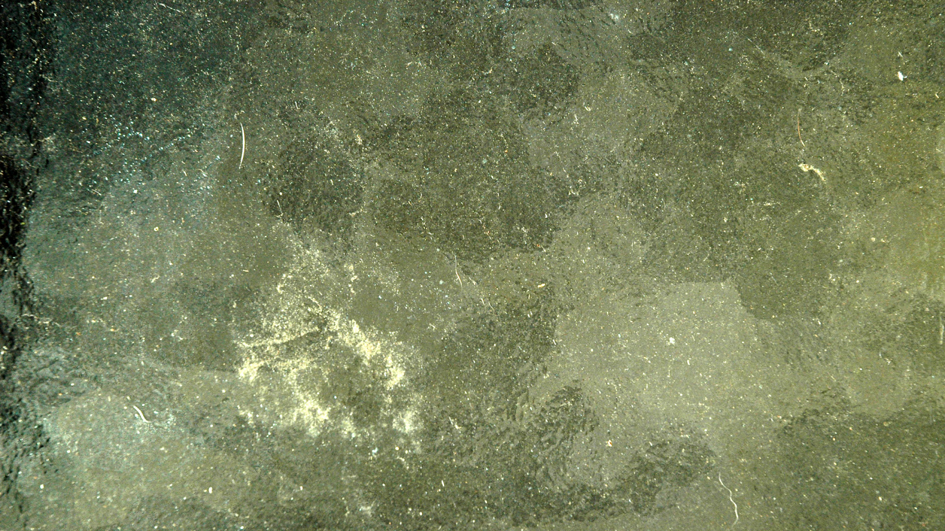 Peinture Abstraite Verte et Blanche. Wallpaper in 1366x768 Resolution