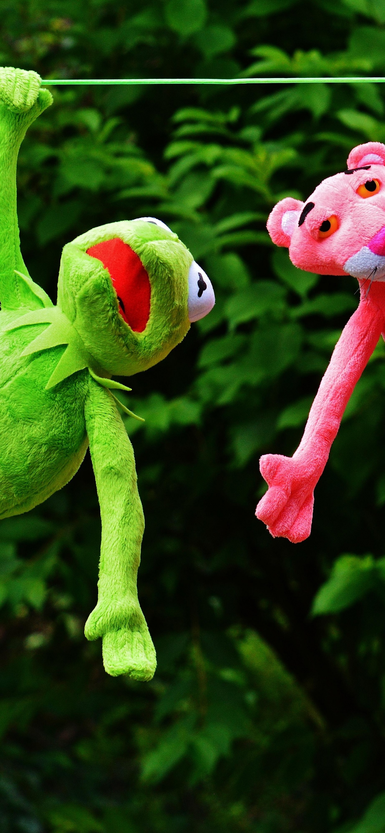 Kermit and Pink Panther, Kermit The Frog, The Pink Panther, Toy, Grass. Wallpaper in 1242x2688 Resolution