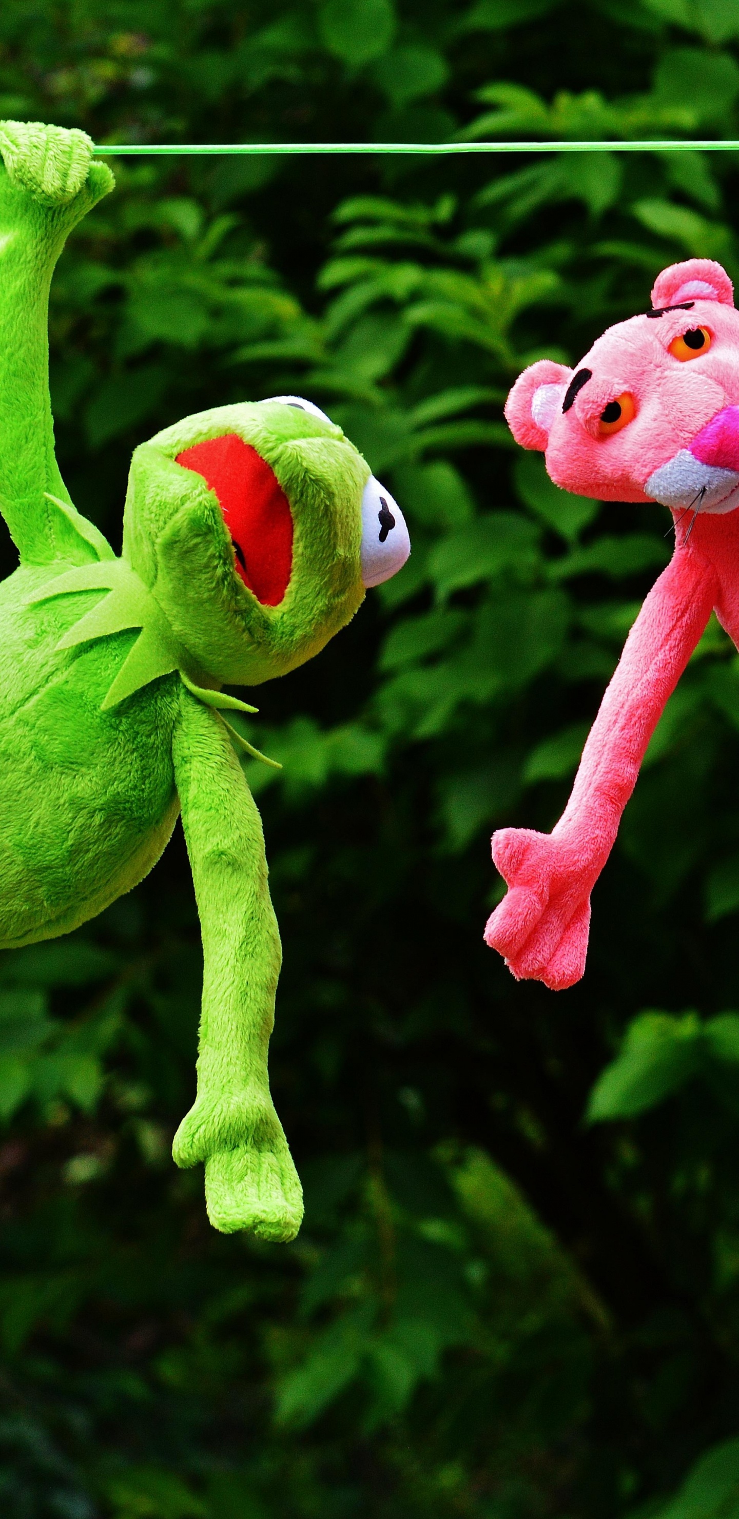 Kermit and Pink Panther, Kermit The Frog, The Pink Panther, Toy, Grass. Wallpaper in 1440x2960 Resolution