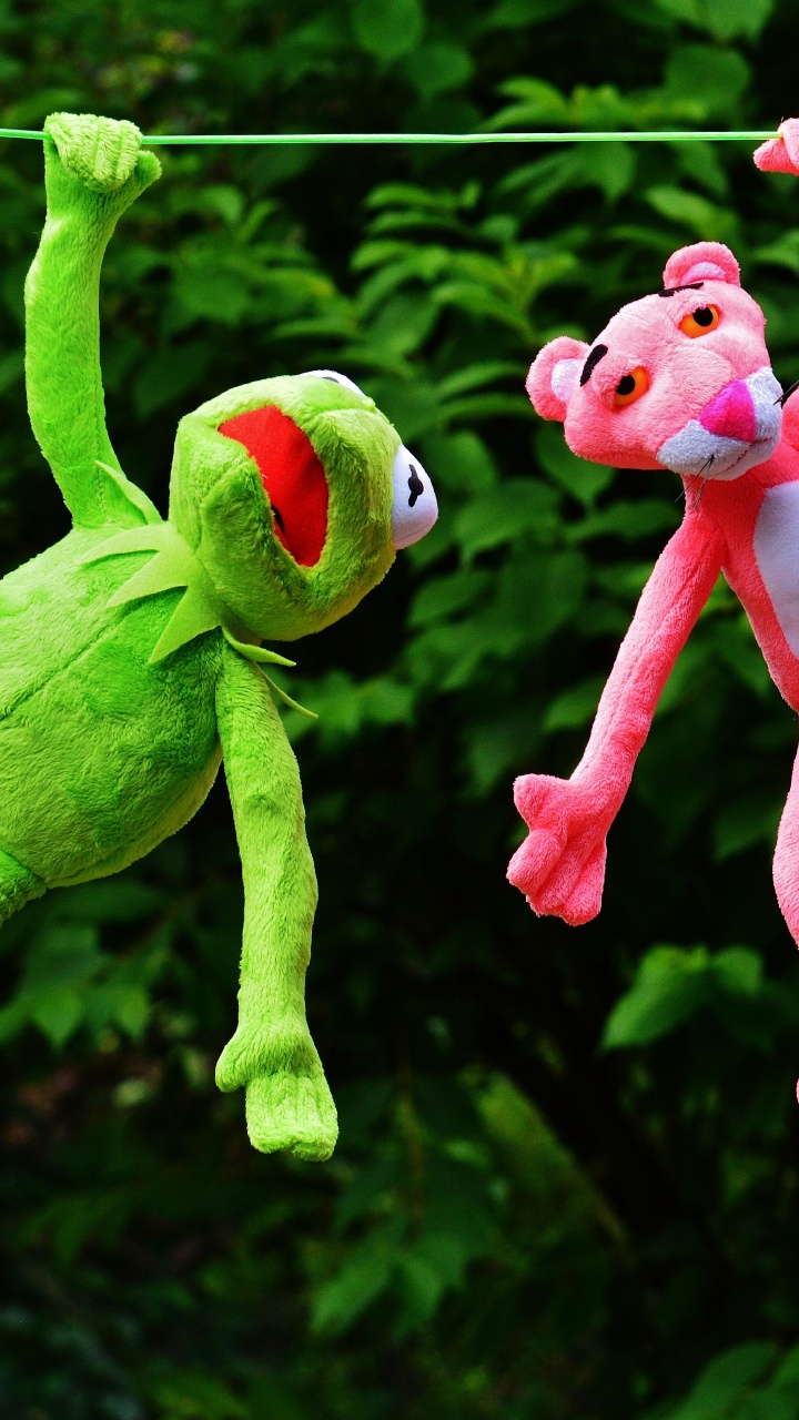 Kermit and Pink Panther, Kermit The Frog, The Pink Panther, Toy, Grass. Wallpaper in 720x1280 Resolution