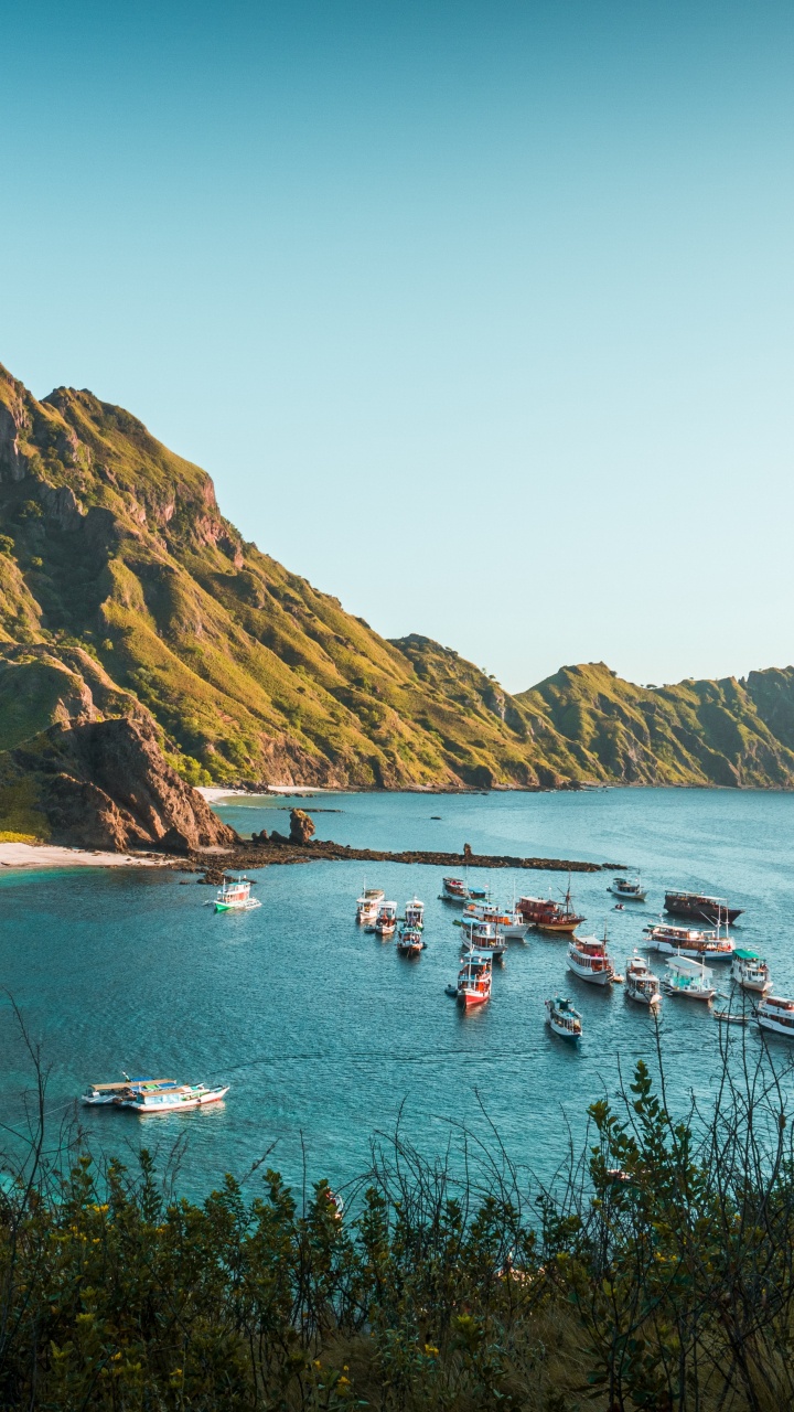 Komodo National Park, Komodo, Padar Island, Komodo Dragon, Labuan Bajo. Wallpaper in 720x1280 Resolution