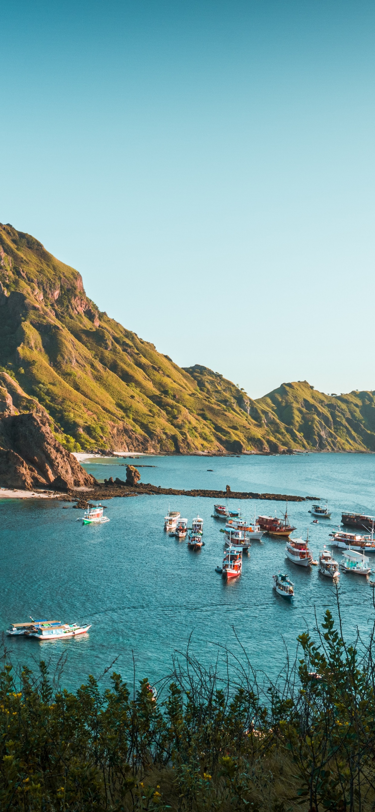 Parc National de Komodo, Komodo, Île de Padar, Dragon de Komodo, Malchance. Wallpaper in 1242x2688 Resolution