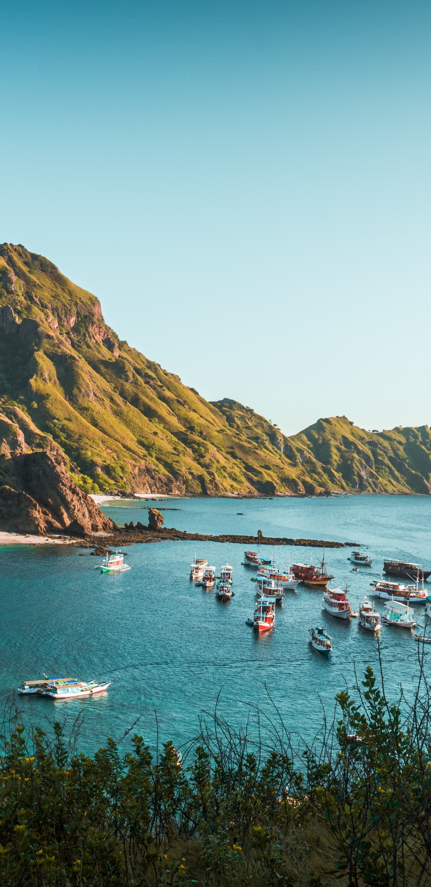 Parque Nacional de Komodo, Komodo, Isla Padar, Dragon de Komodo, Mala Suerte. Wallpaper in 1440x2960 Resolution