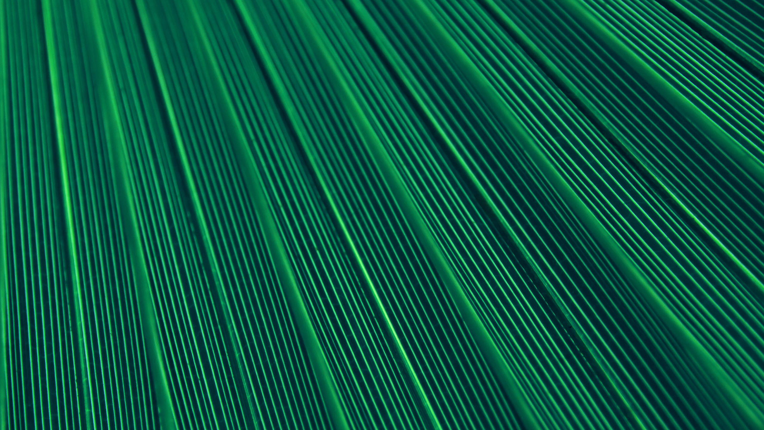 Grün-weiß Gestreiftes Textil. Wallpaper in 2560x1440 Resolution