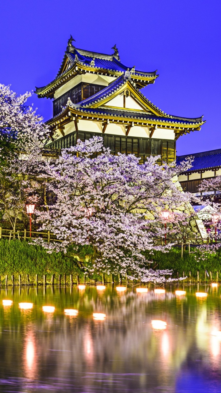 White and Black Temple Near Body of Water During Daytime. Wallpaper in 720x1280 Resolution
