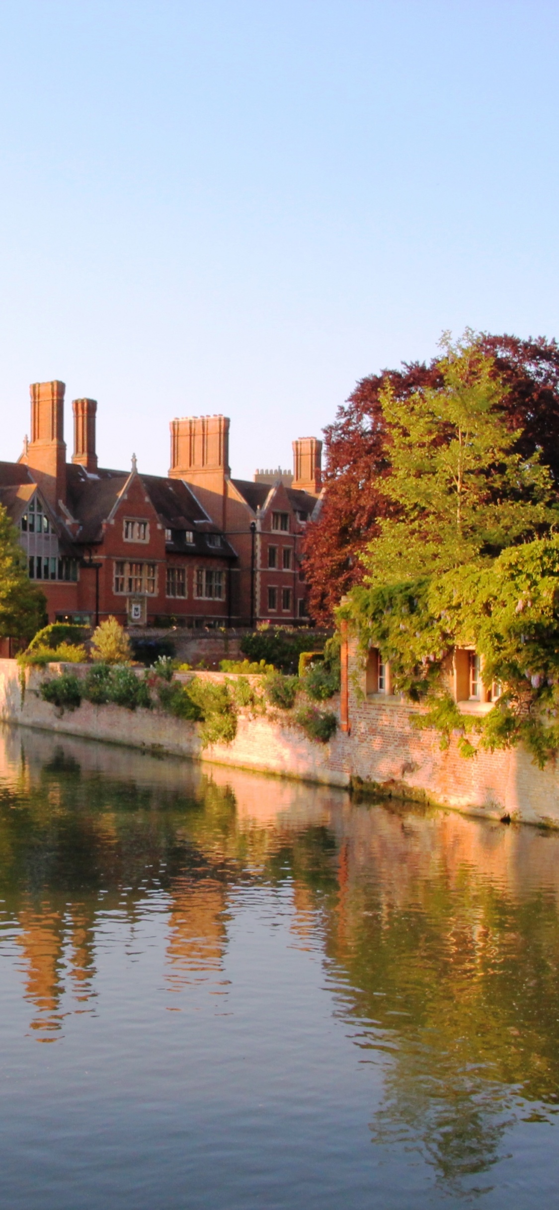 Braunes Betongebäude in Der Nähe Von Grünen Bäumen Und Gewässern Tagsüber. Wallpaper in 1125x2436 Resolution