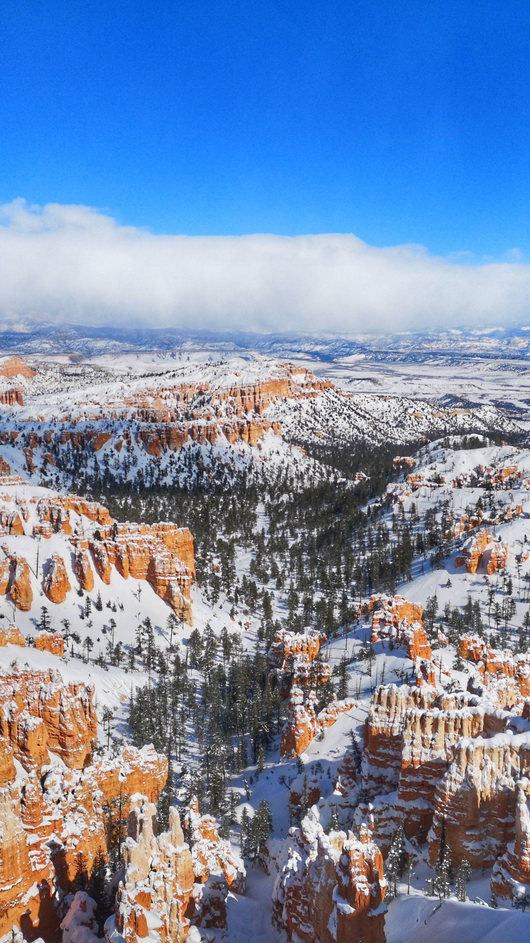 Parc National de Bryce Canyon, Bryce Canyon City, Parc National du Grand Canyon, Parc, le Parc National De. Wallpaper in 1080x1920 Resolution