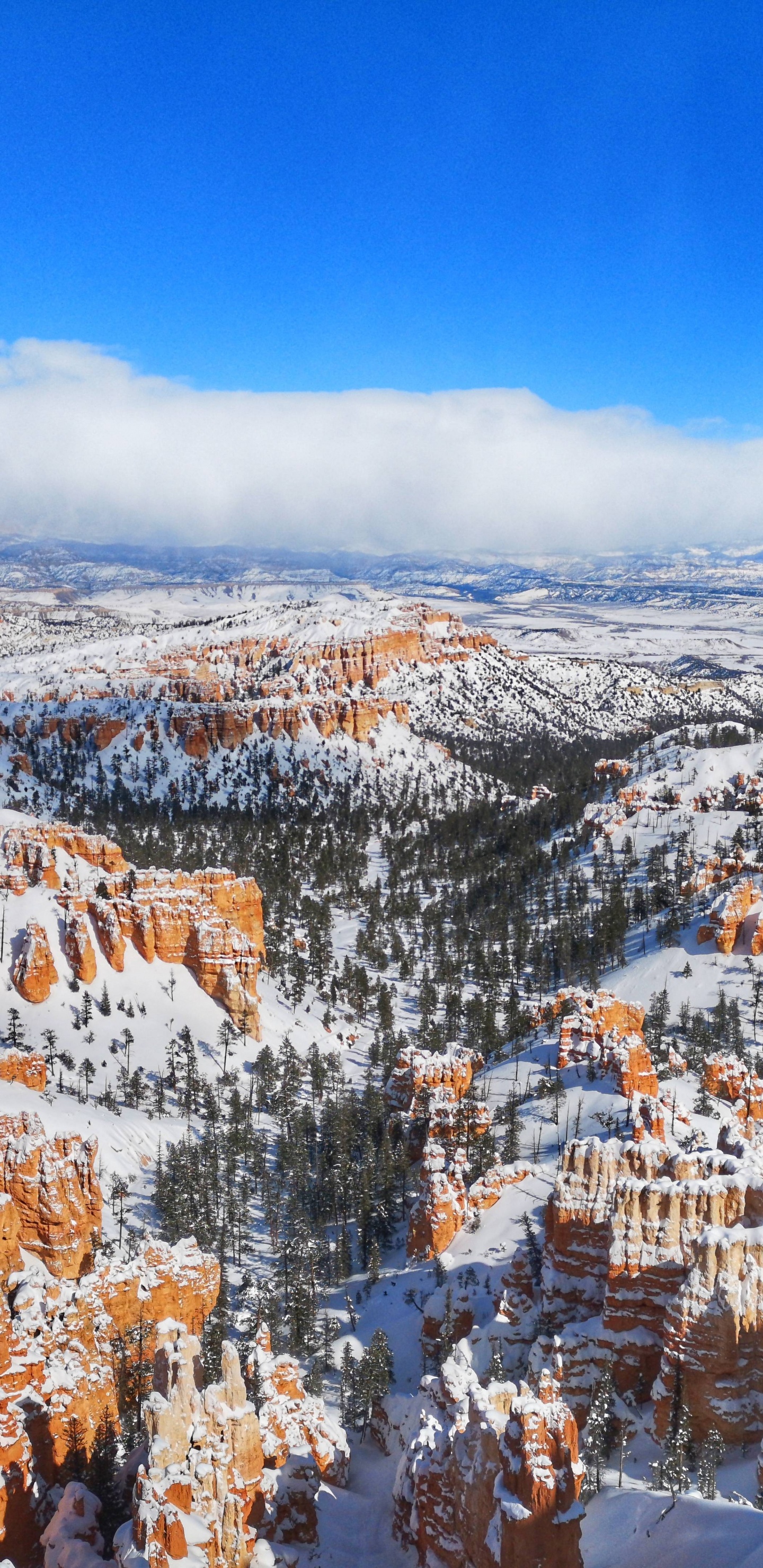 Parque Nacional de Bryce Canyon, Bryce Canyon City, Parque Nacional Del Gran Cañón, Parque, el Parque Nacional De. Wallpaper in 1440x2960 Resolution