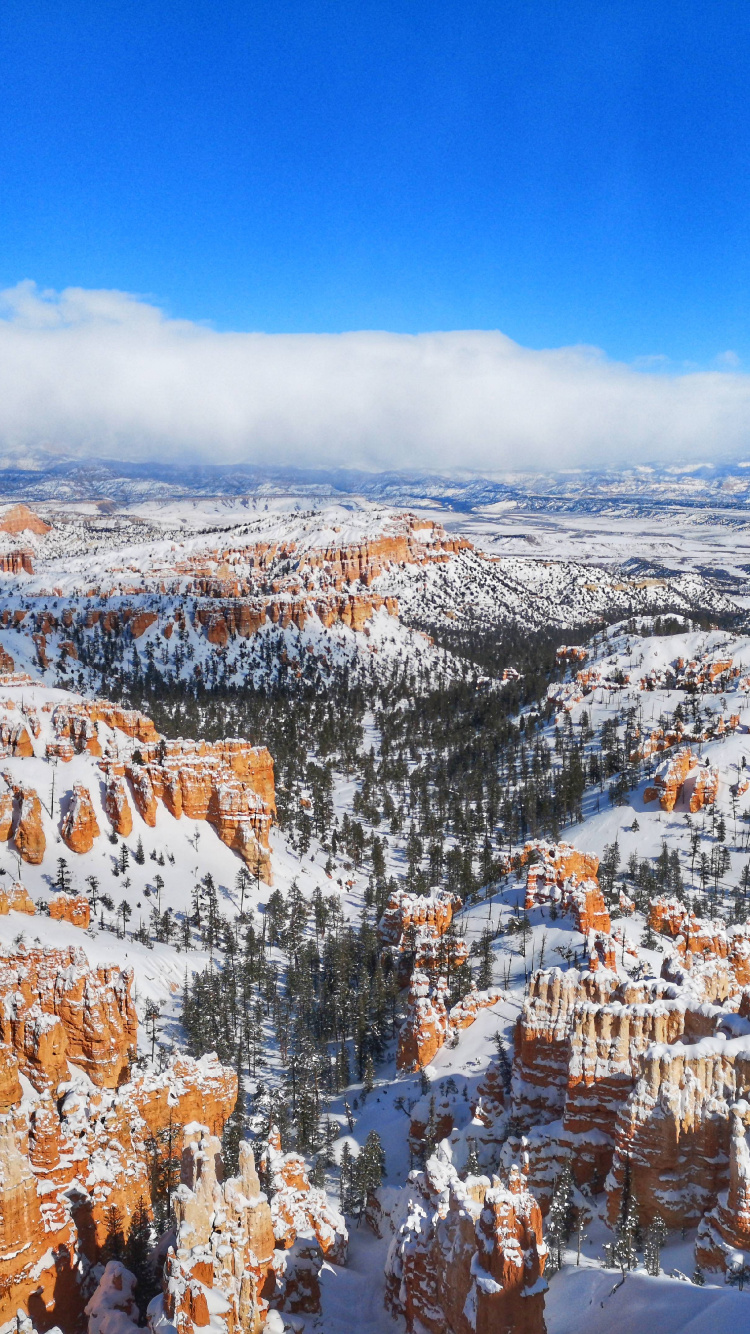 Parque Nacional de Bryce Canyon, Bryce Canyon City, Parque Nacional Del Gran Cañón, Parque, el Parque Nacional De. Wallpaper in 750x1334 Resolution