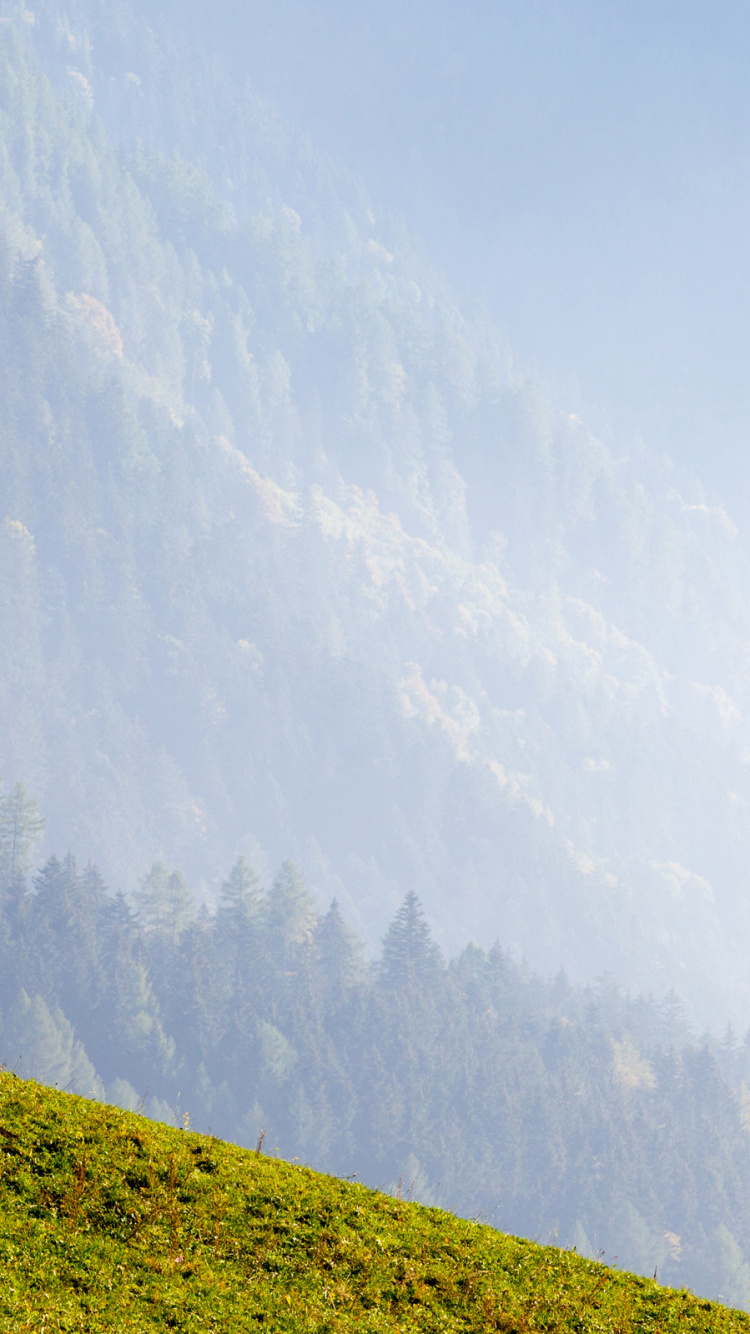 Mount Scenery, Alpes, Prairie, Paysage Naturel, Pente. Wallpaper in 750x1334 Resolution