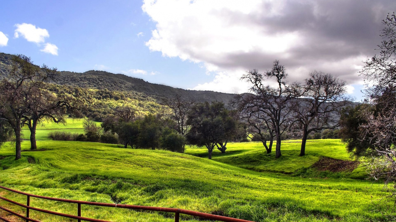 Campo de Hierba Verde Con Árboles Bajo un Cielo Azul Durante el Día. Wallpaper in 1366x768 Resolution