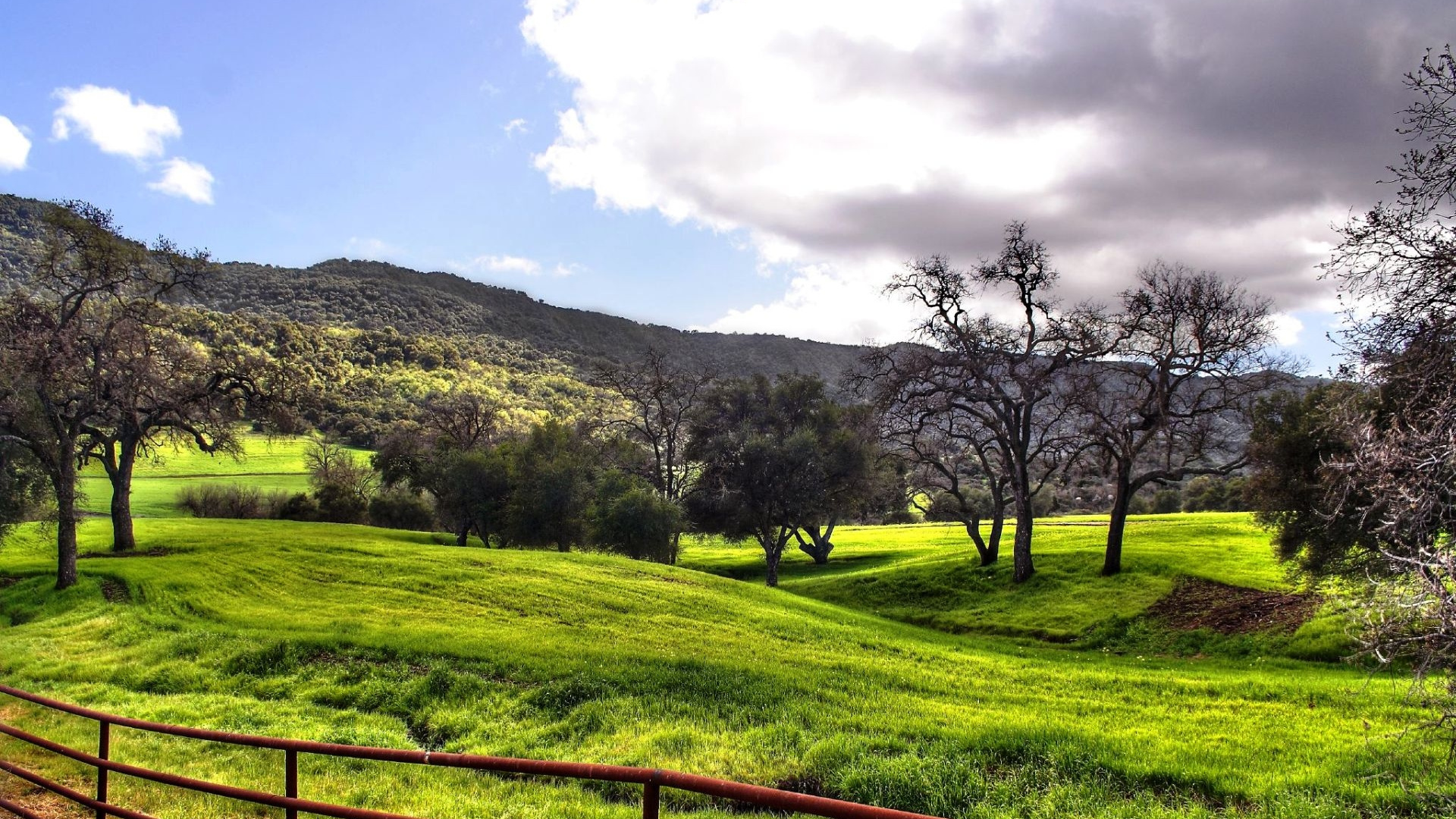 Campo de Hierba Verde Con Árboles Bajo un Cielo Azul Durante el Día. Wallpaper in 1920x1080 Resolution