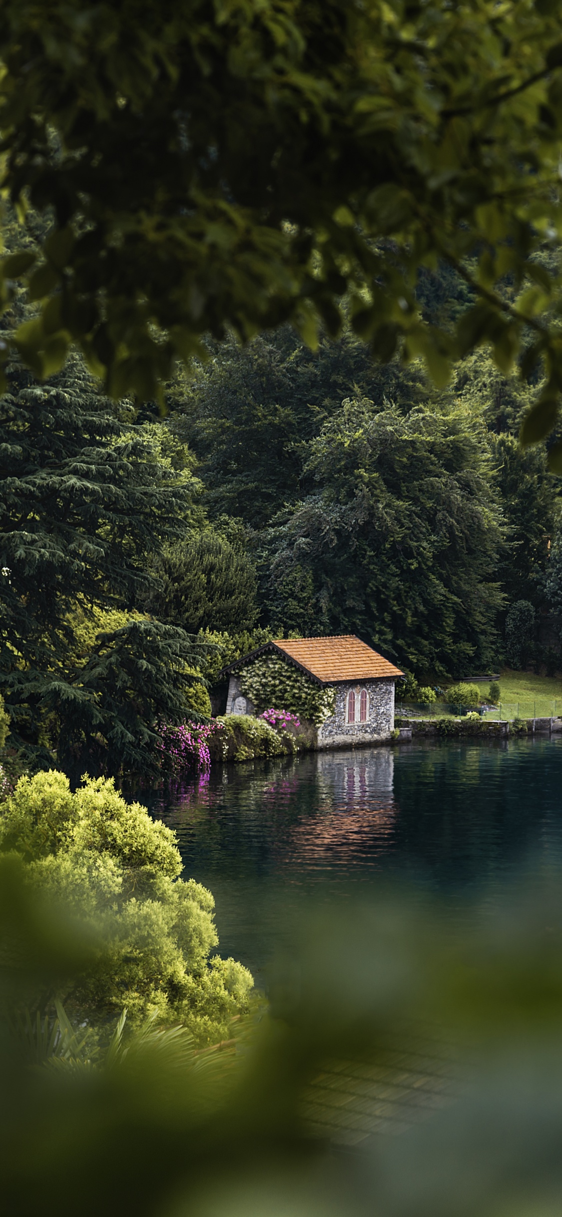 Lago, Paisaje Natural, Naturaleza, Verde, Agua. Wallpaper in 1125x2436 Resolution