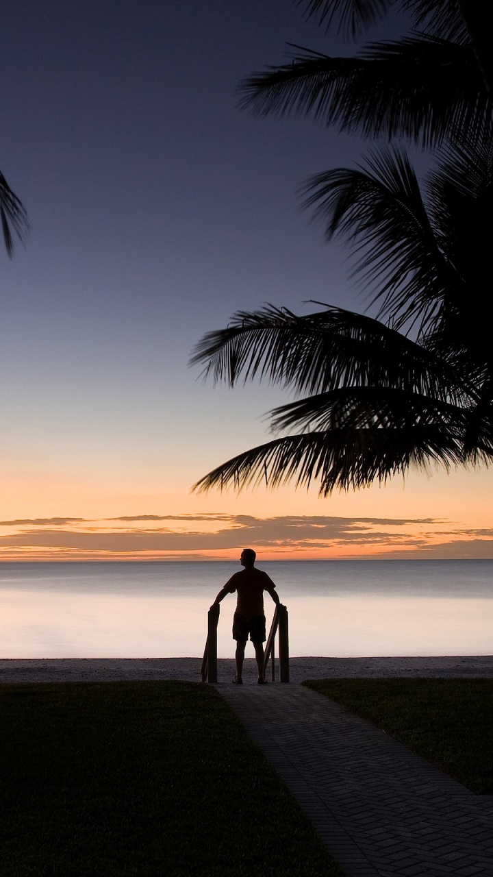 Silhouette of People Walking on Beach During Sunset. Wallpaper in 720x1280 Resolution