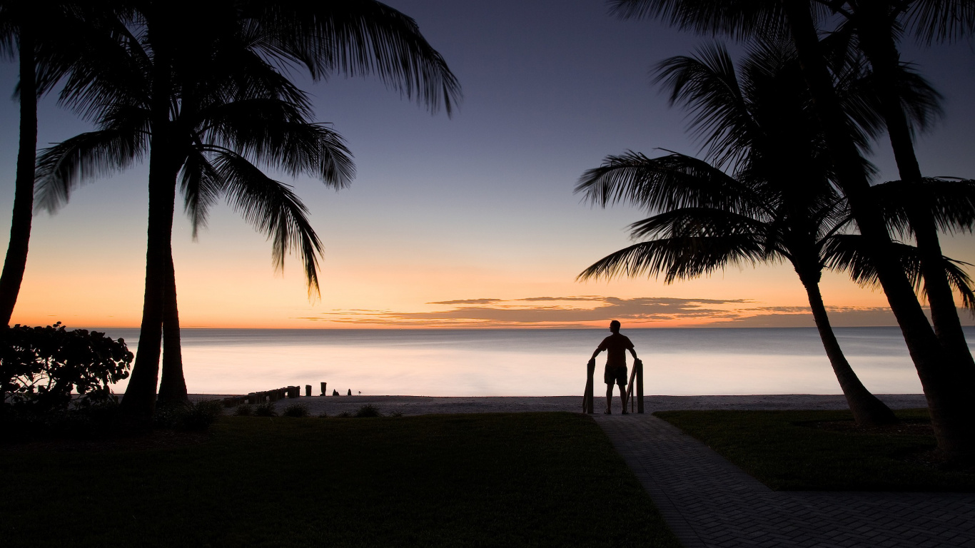 Silhouette Von Menschen, Die Bei Sonnenuntergang am Strand Spazieren Gehen. Wallpaper in 1366x768 Resolution