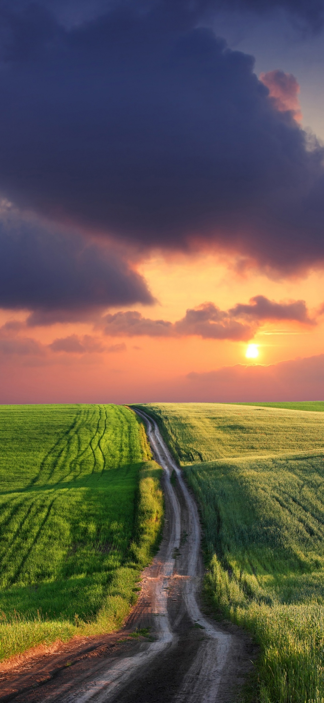 Art, Foudre, Orage, Tempête, Paysage Naturel. Wallpaper in 1125x2436 Resolution