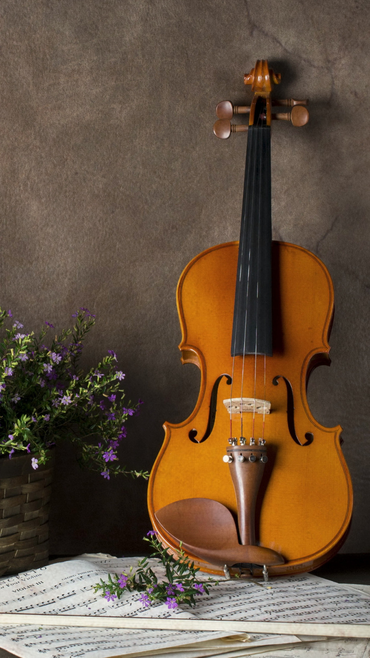 Violine Familie, Violone, Stilleben, Gambe, Hochzeitsfeier. Wallpaper in 750x1334 Resolution