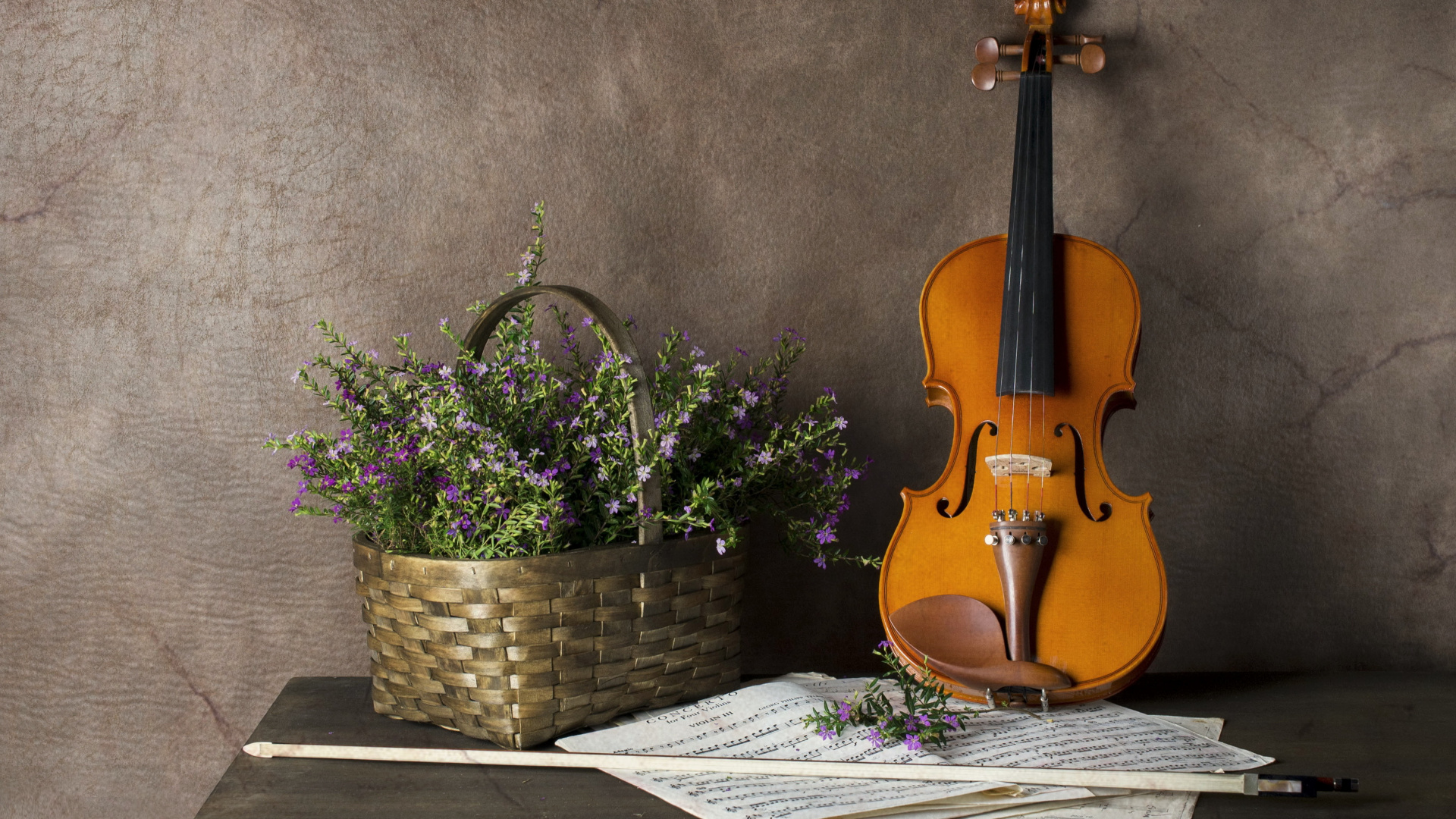 Violin, String Instrument, Violin Family, Musical Instrument, Violone. Wallpaper in 1920x1080 Resolution