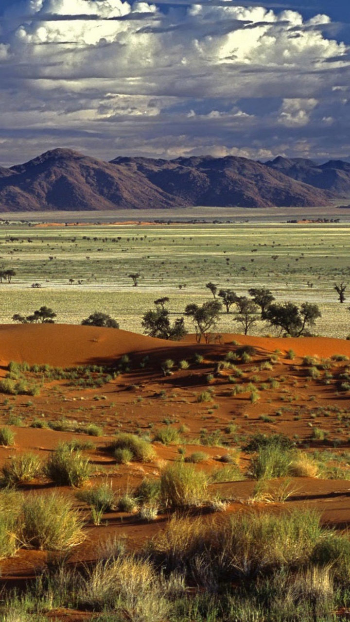 Champ D'herbe Brune et Verte Près Des Montagnes Sous Des Nuages Blancs et un Ciel Bleu Pendant la Journée. Wallpaper in 720x1280 Resolution