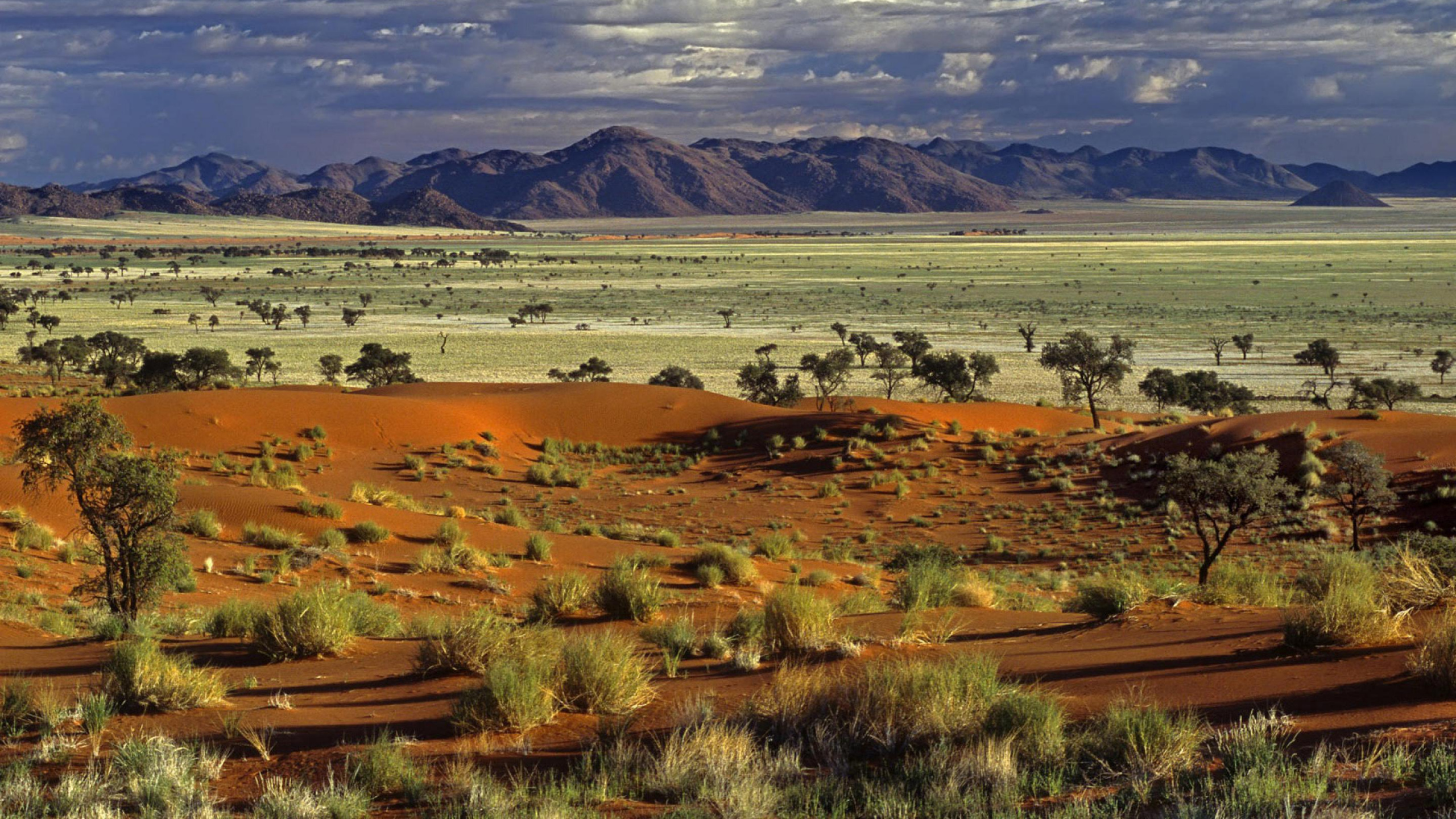 Brown and Green Grass Field Near Mountains Under White Clouds and Blue Sky During Daytime. Wallpaper in 2560x1440 Resolution