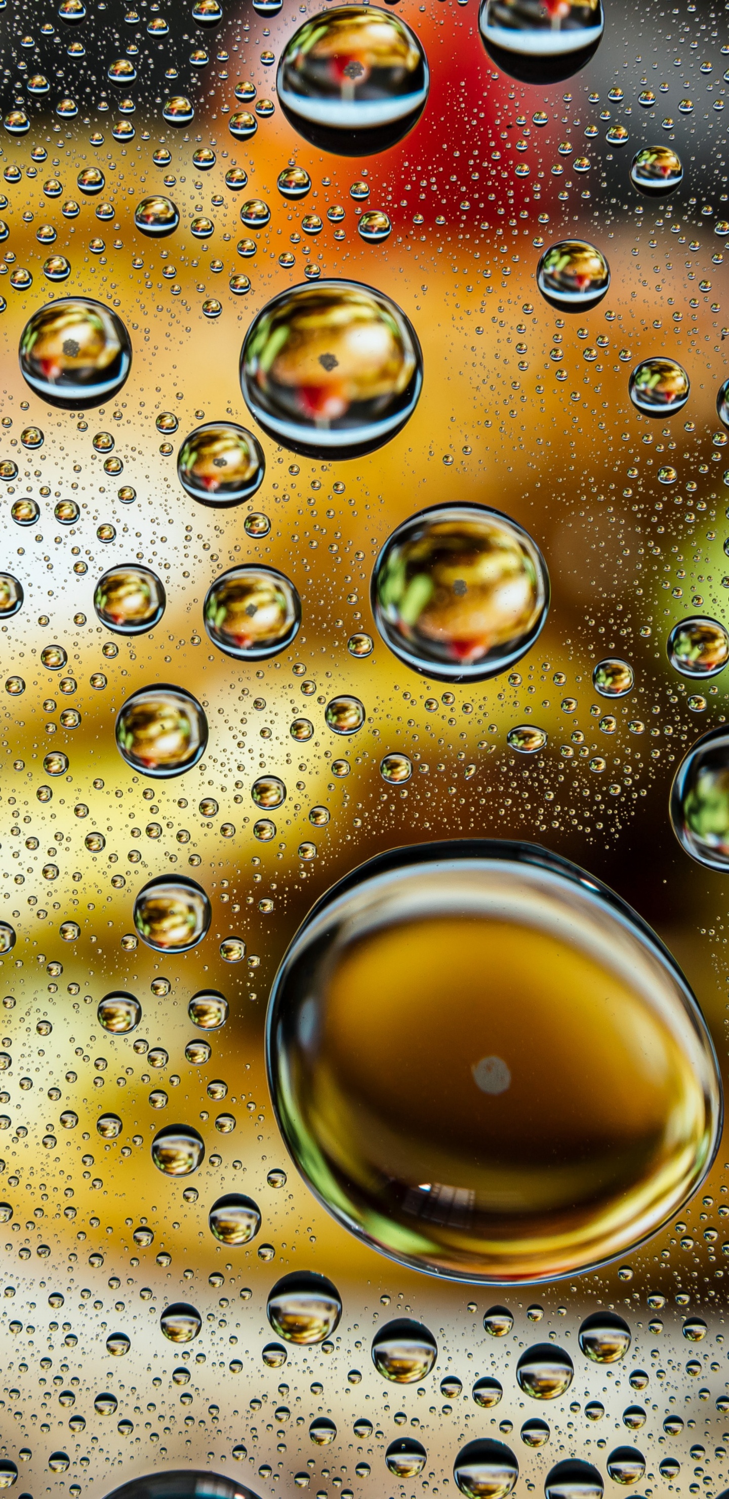 Illustration, Eau, Liquid, Nature, Fluide. Wallpaper in 1440x2960 Resolution