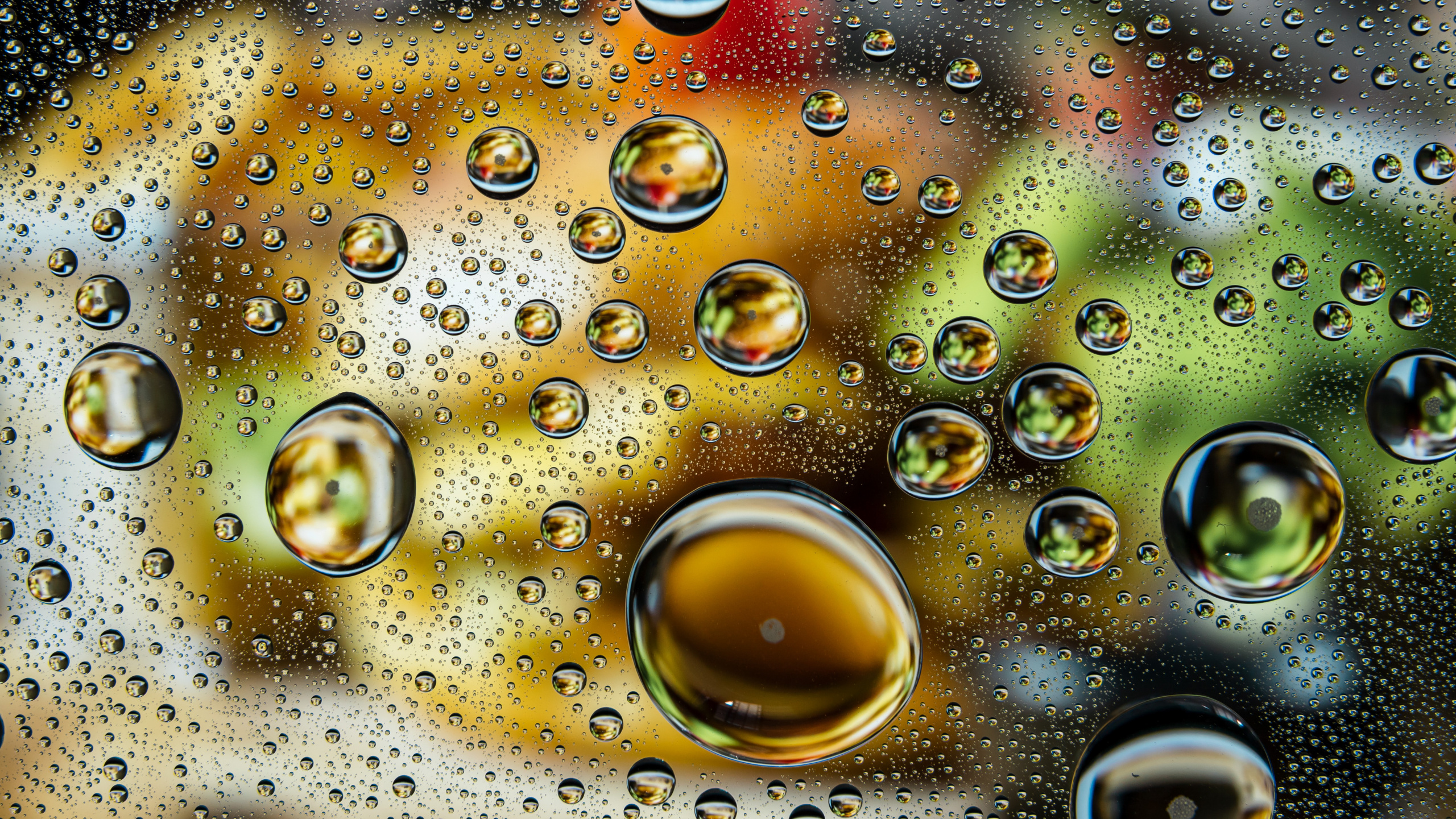 Illustration, Wasser, Natur, Flüssigkeit, Kunst. Wallpaper in 2560x1440 Resolution