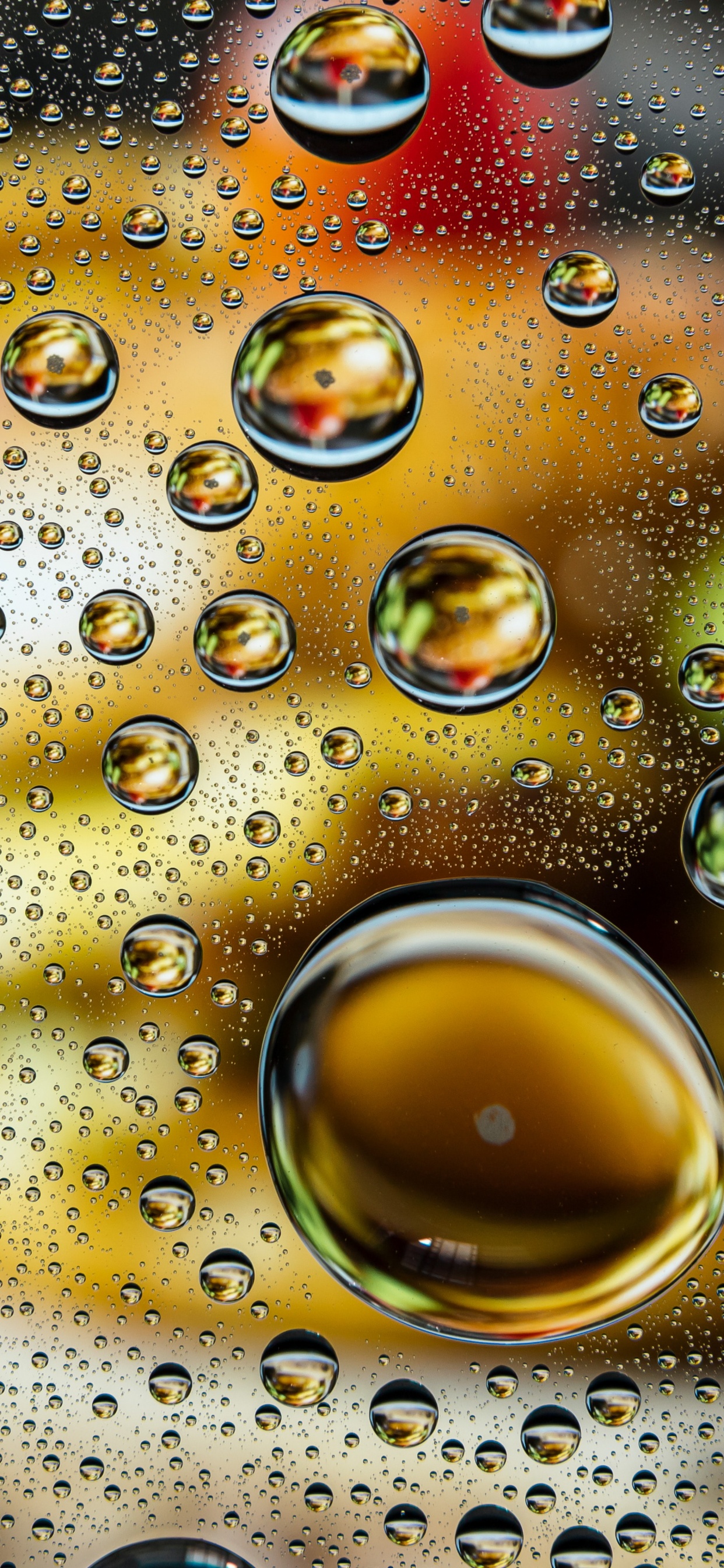 Illustration, Water, Liquid, Nature, Fluid. Wallpaper in 1242x2688 Resolution