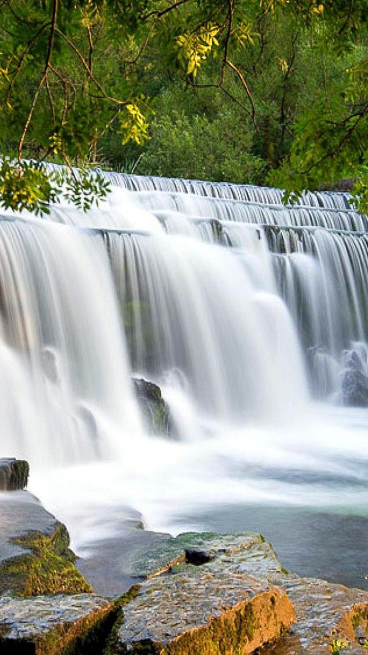 Cascades au Milieu de la Forêt. Wallpaper in 720x1280 Resolution