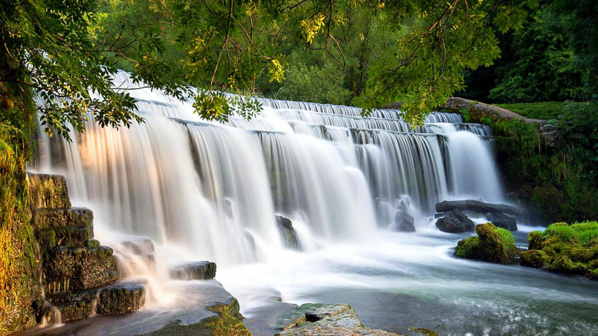 Waterfalls in The Middle of The Forest. Wallpaper in 1920x1080 Resolution