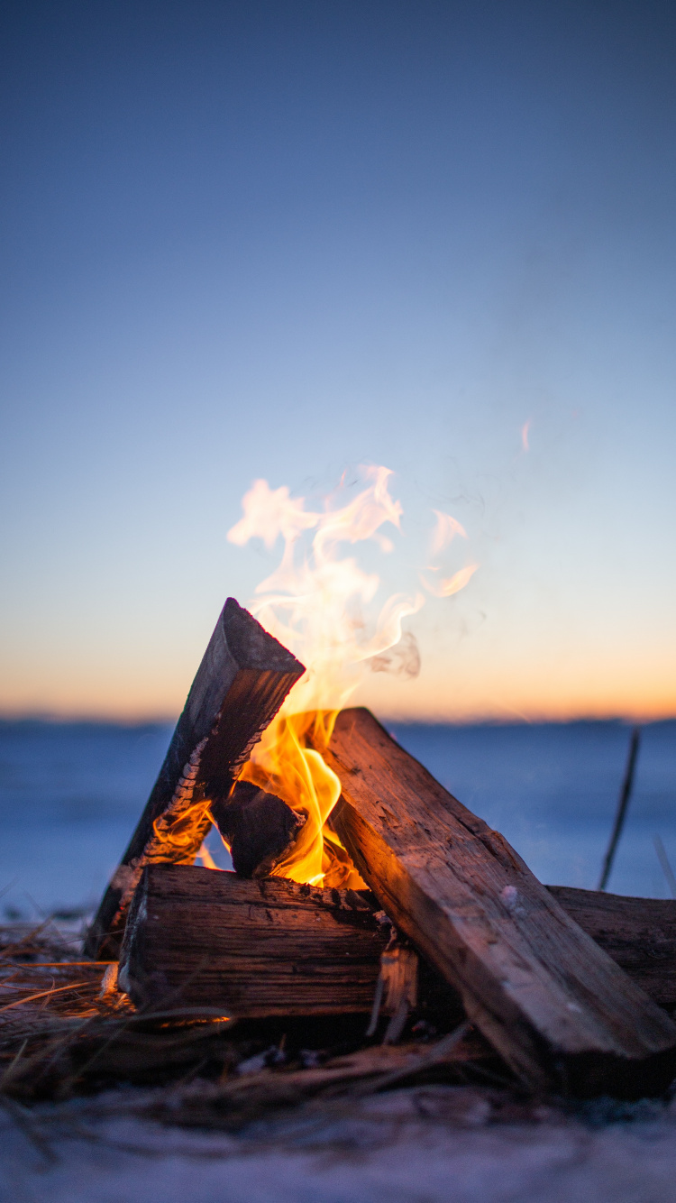 Feu Sur Bois Brun Pendant le Coucher du Soleil. Wallpaper in 750x1334 Resolution