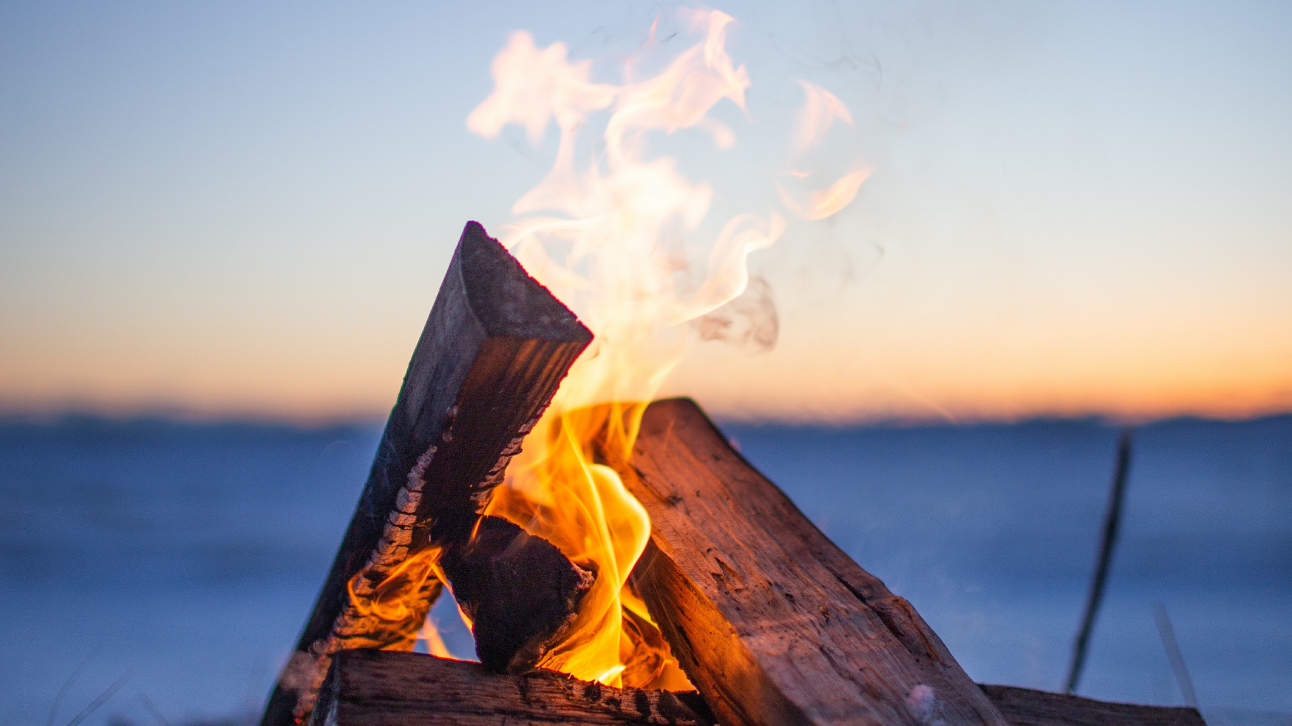 Fire on Brown Wood During Sunset. Wallpaper in 2560x1440 Resolution