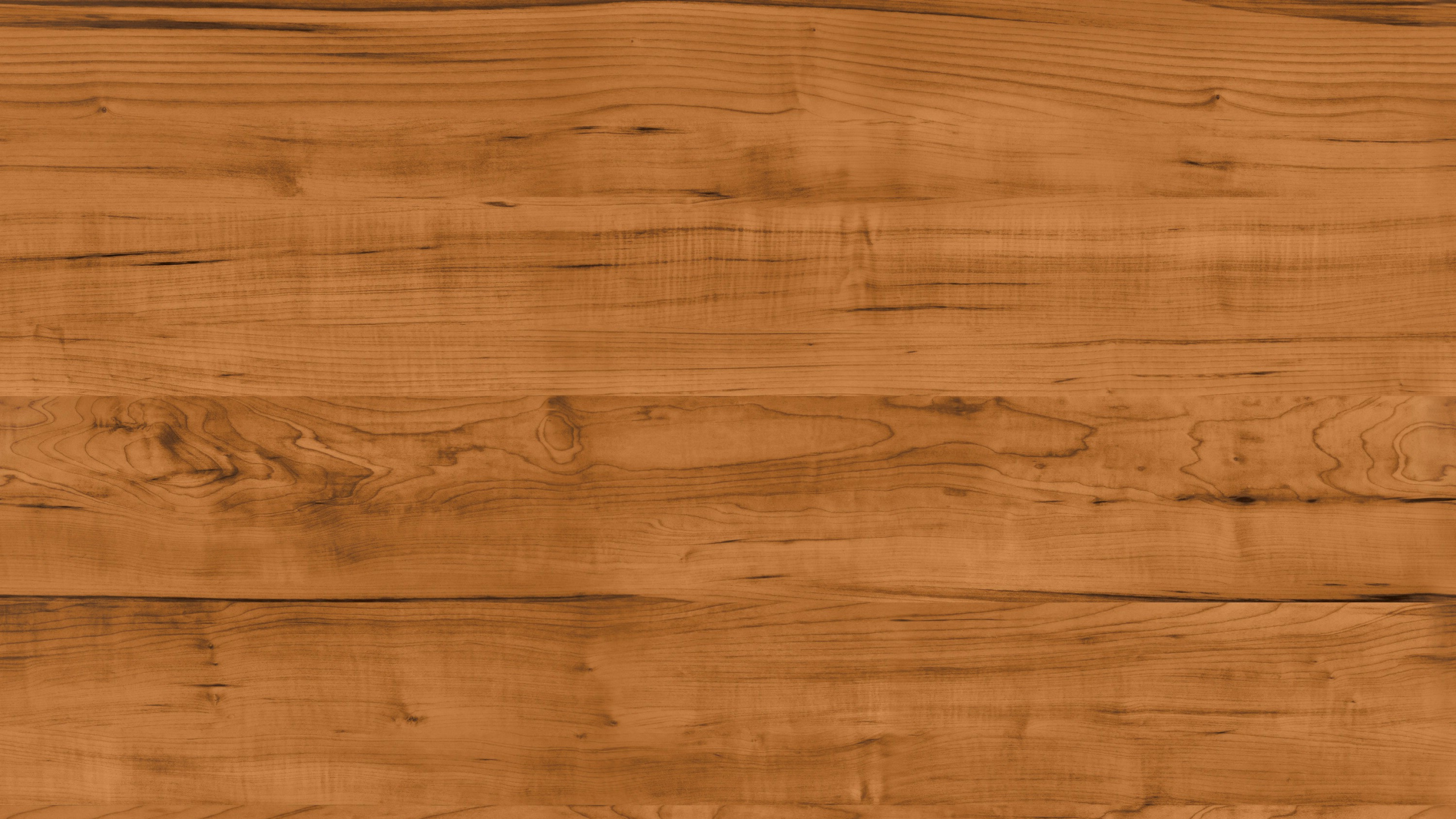 木, 木地板, 木染色, 硬木, 木板 壁纸 2560x1440 允许