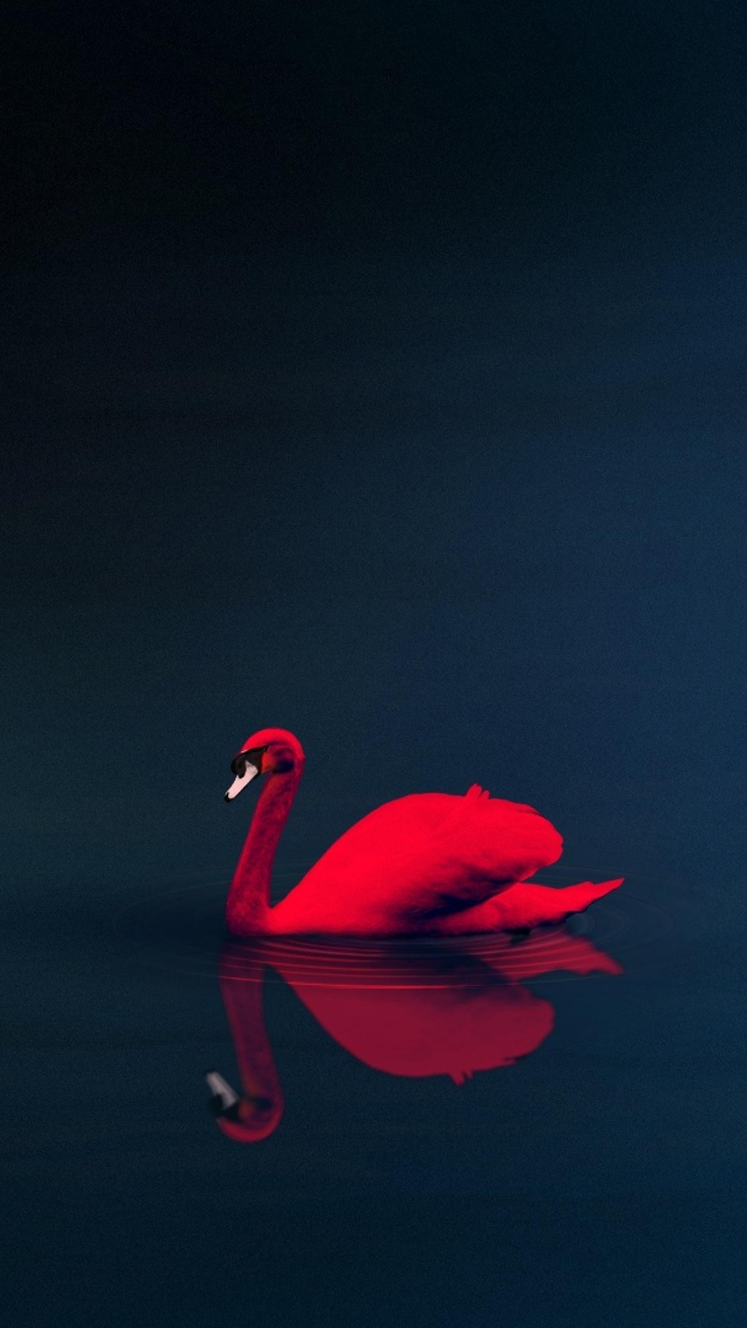 Flamant Rose Sur Plan D'eau. Wallpaper in 1080x1920 Resolution