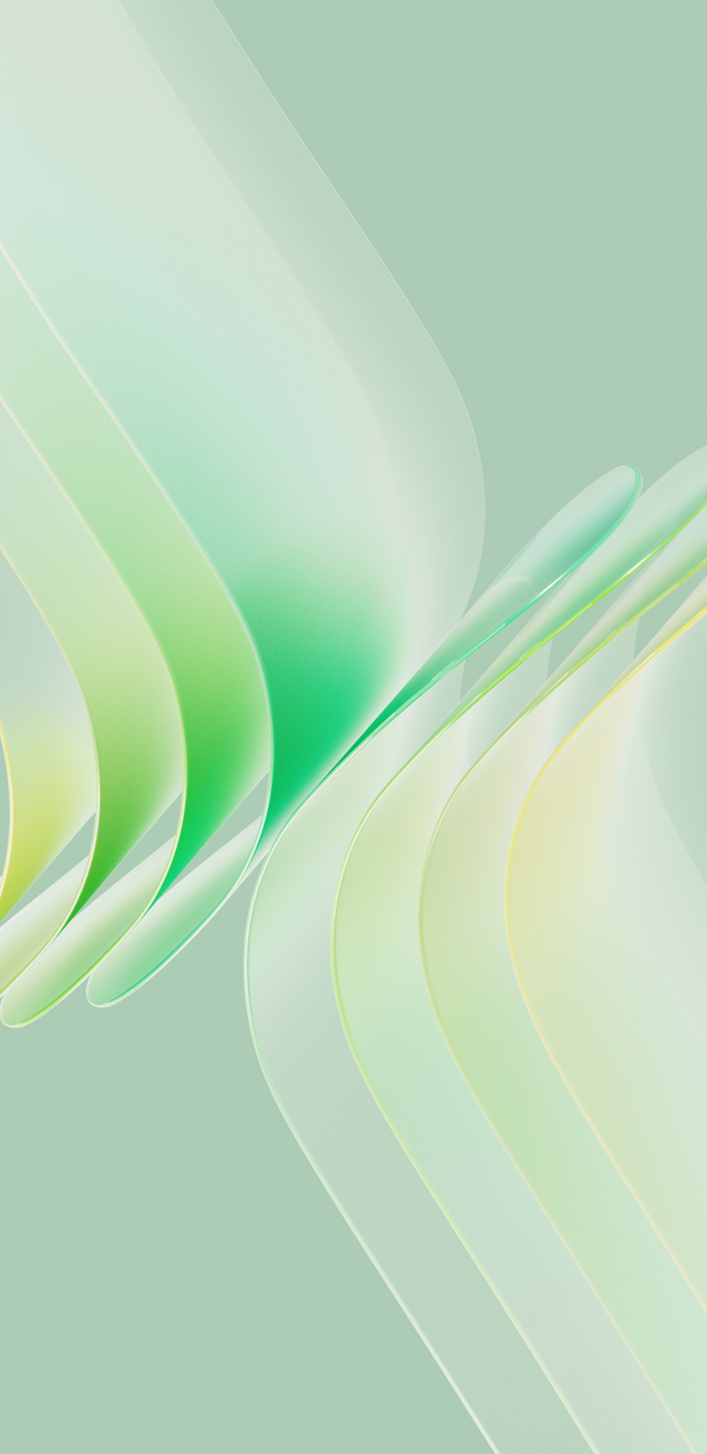 Arte Fractal, Fhd, Meizu, Arte, Fractal. Wallpaper in 1440x2960 Resolution