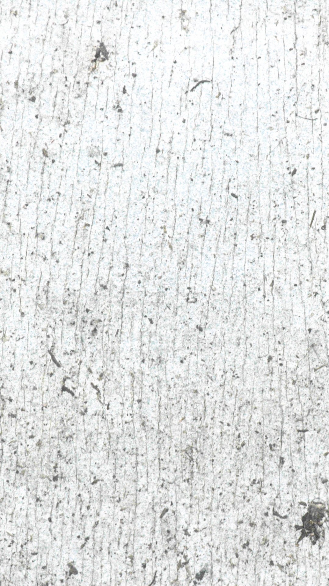 White and Gray Concrete Wall. Wallpaper in 1080x1920 Resolution
