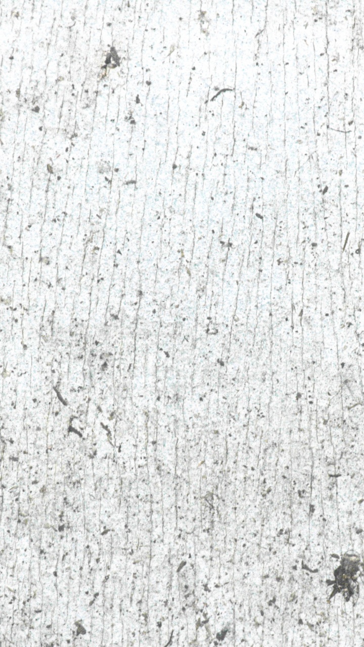 White and Gray Concrete Wall. Wallpaper in 720x1280 Resolution