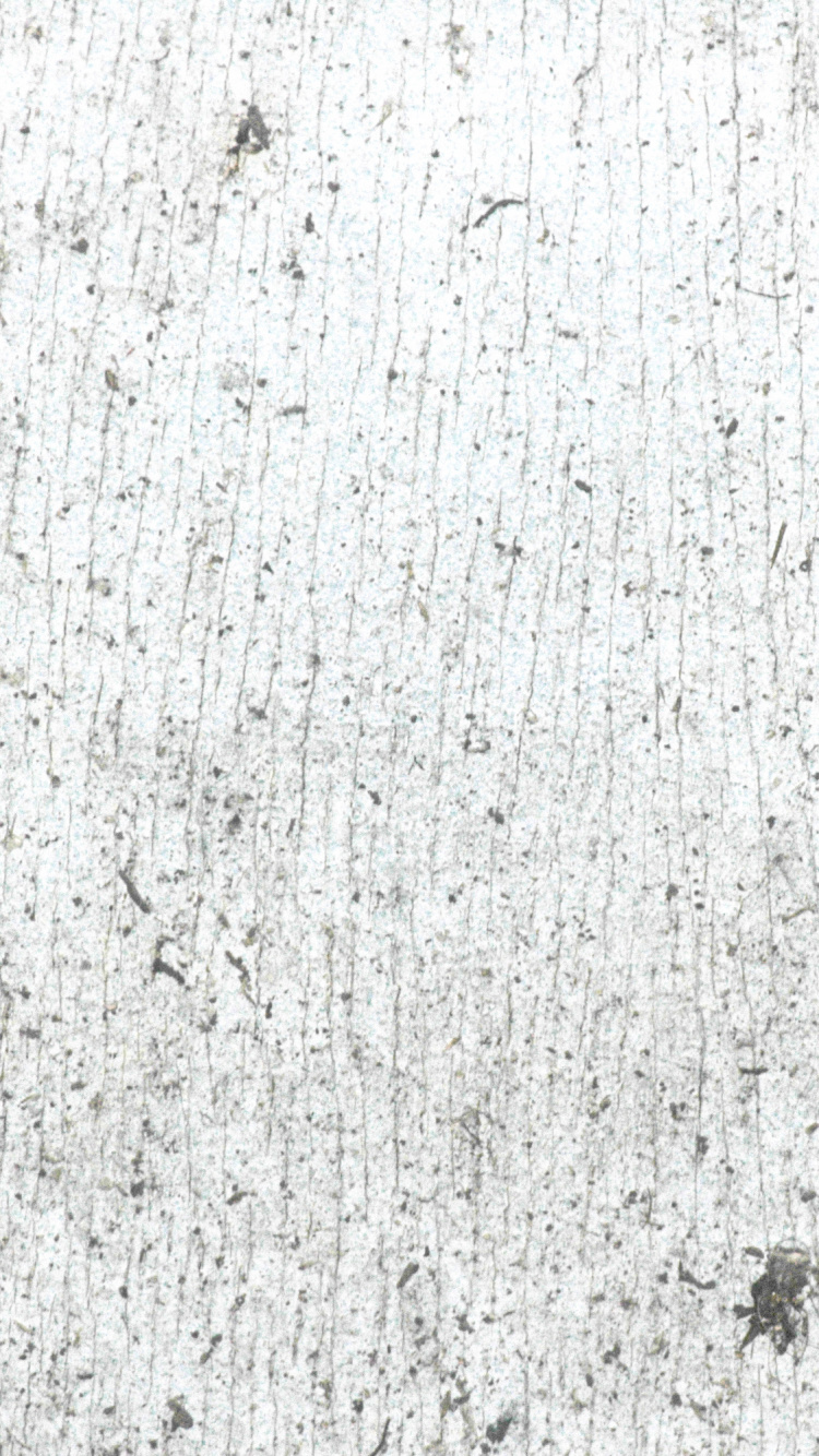 White and Gray Concrete Wall. Wallpaper in 750x1334 Resolution