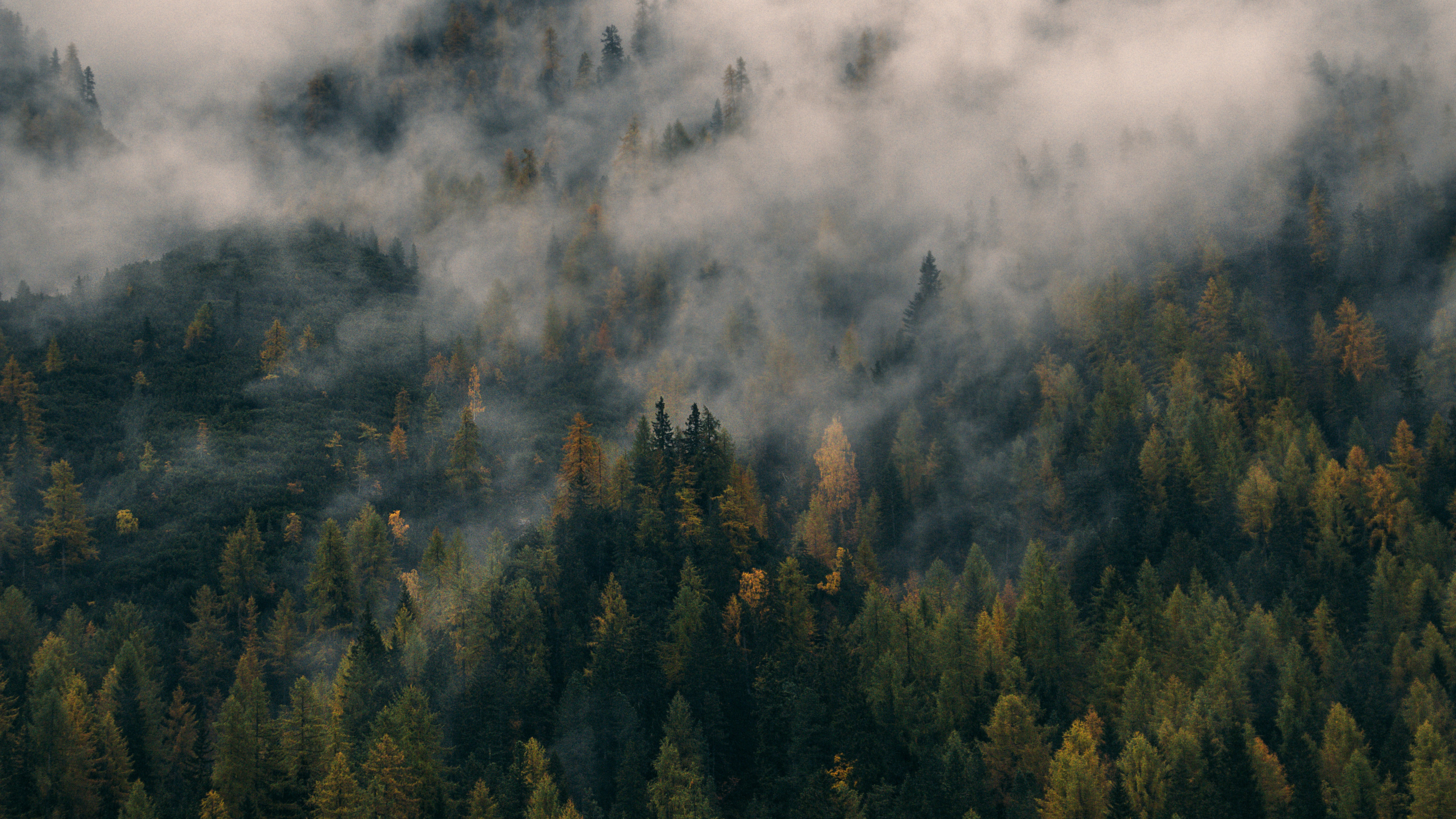 Green Trees on Mountain Covered With Clouds. Wallpaper in 3840x2160 Resolution