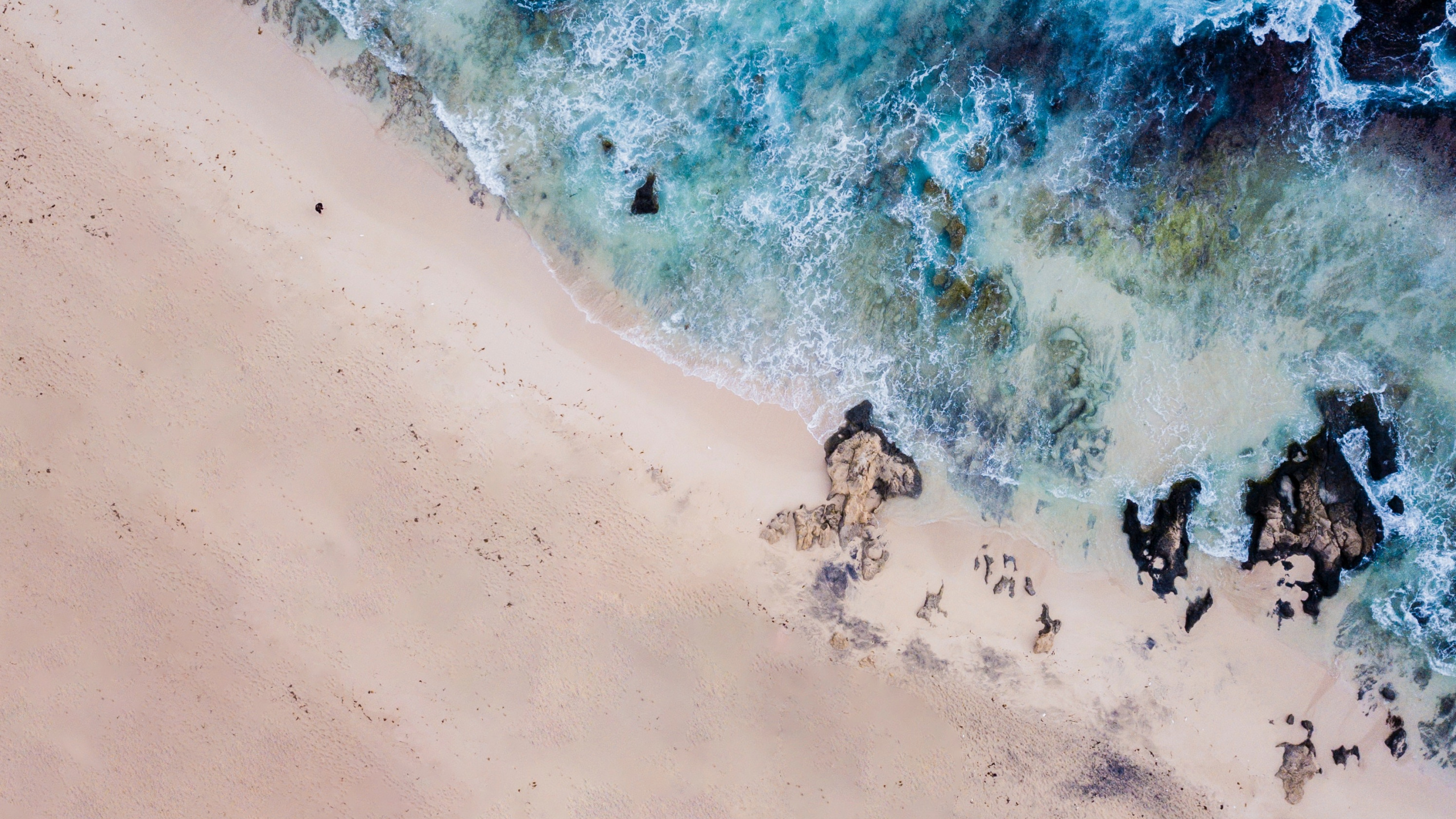 Strand, Marley Strand, Meer, Malerei, Wasser. Wallpaper in 2560x1440 Resolution