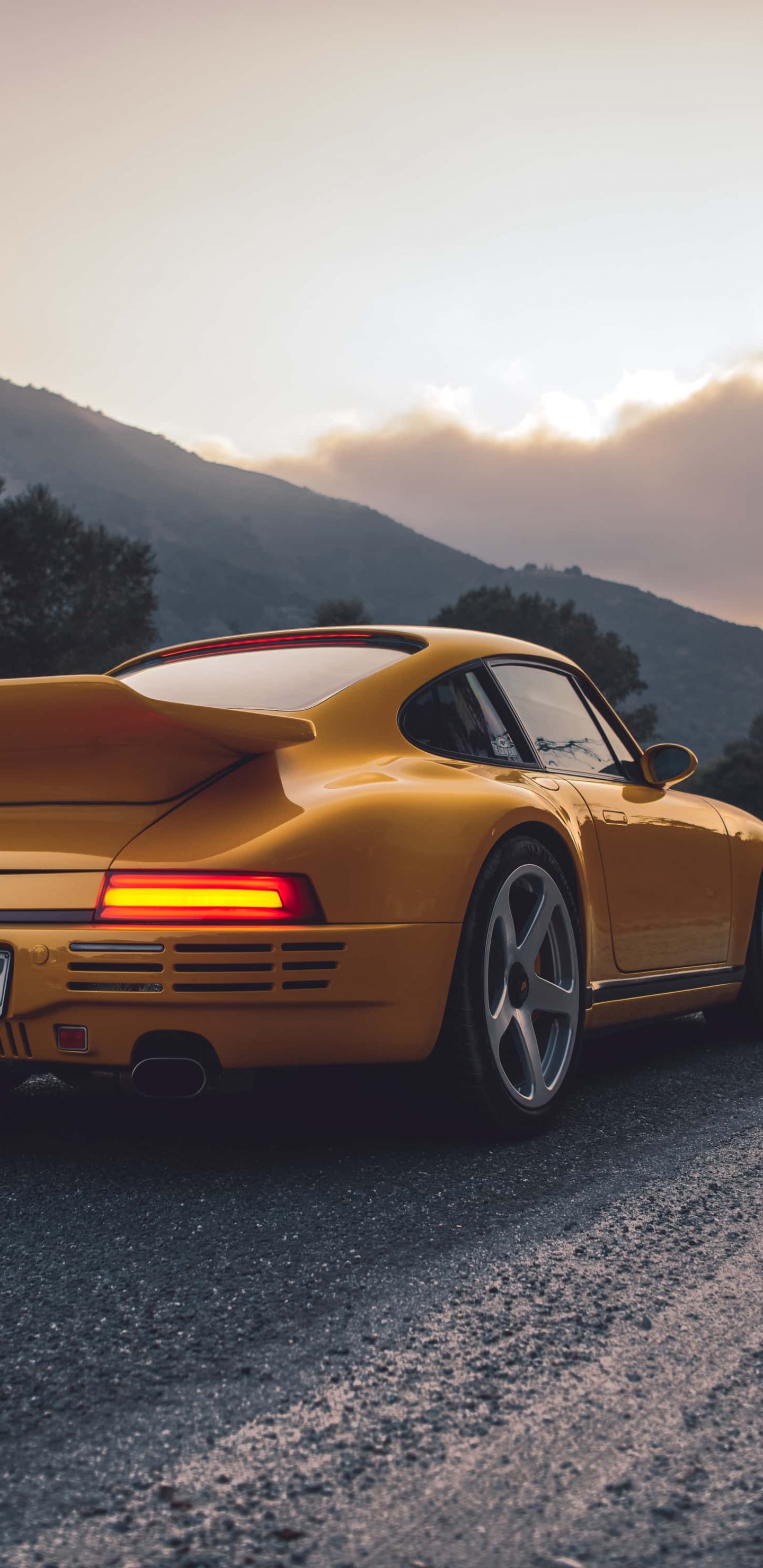 4500 x 3000, Porsche, Cars, Ruf Ctr 2017, Porsche Panamera. Wallpaper in 1440x2960 Resolution