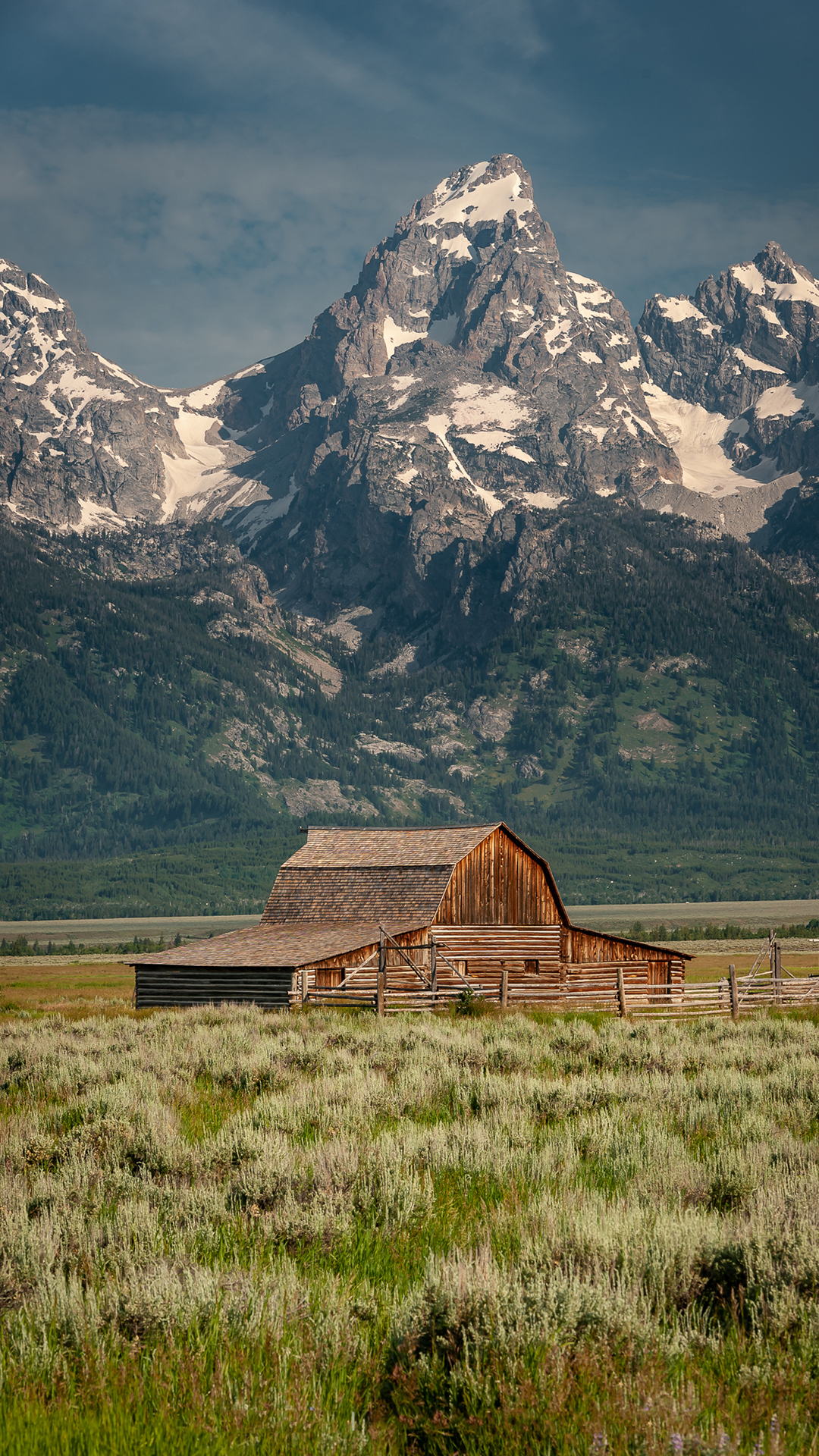 Grand Tetons, Nature, Paysage Naturel, Prairie. Wallpaper in 1080x1920 Resolution