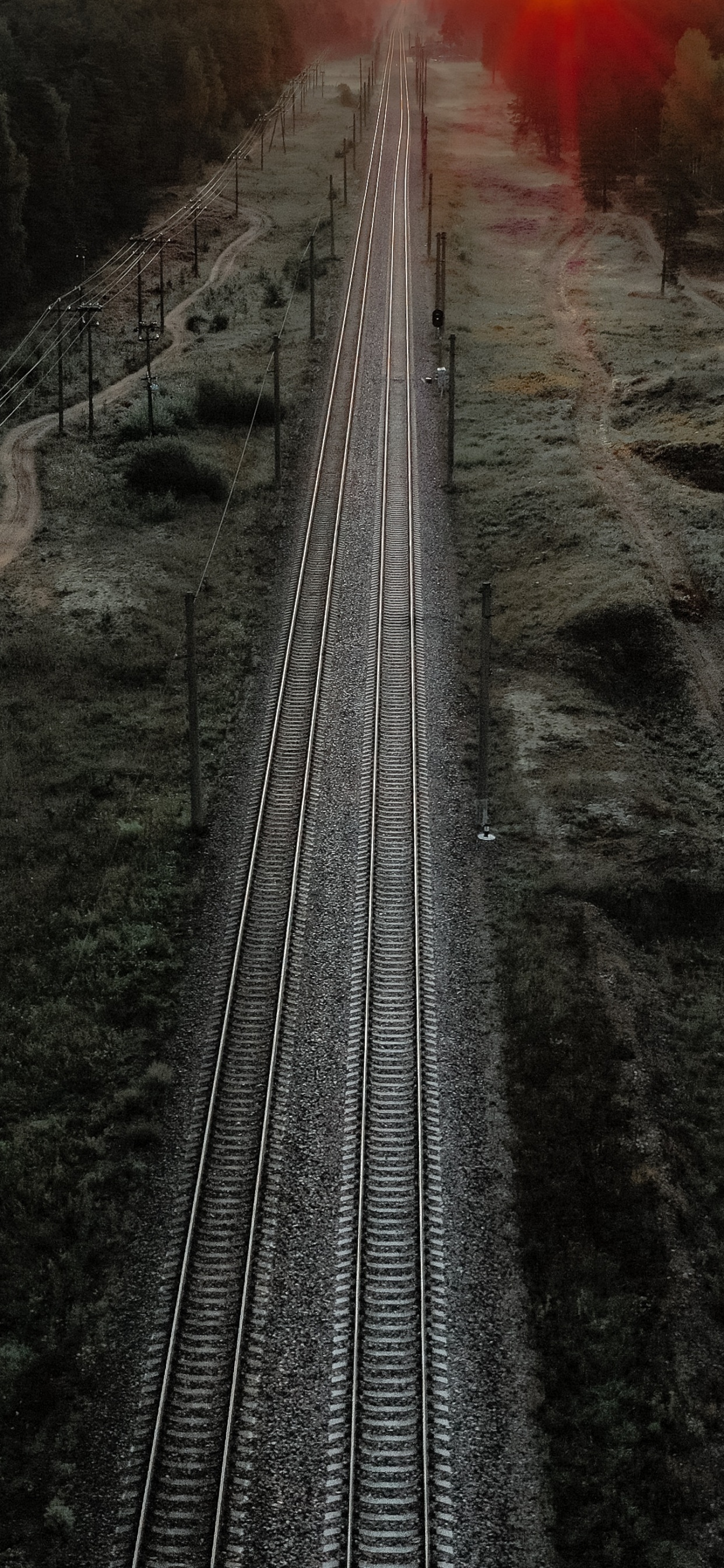 Zugbahn im Wald. Wallpaper in 1242x2688 Resolution