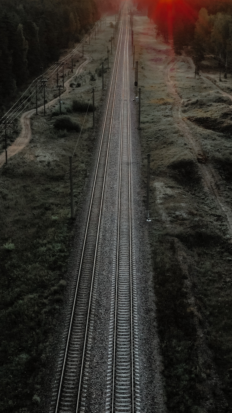 Tren en el Bosque. Wallpaper in 750x1334 Resolution