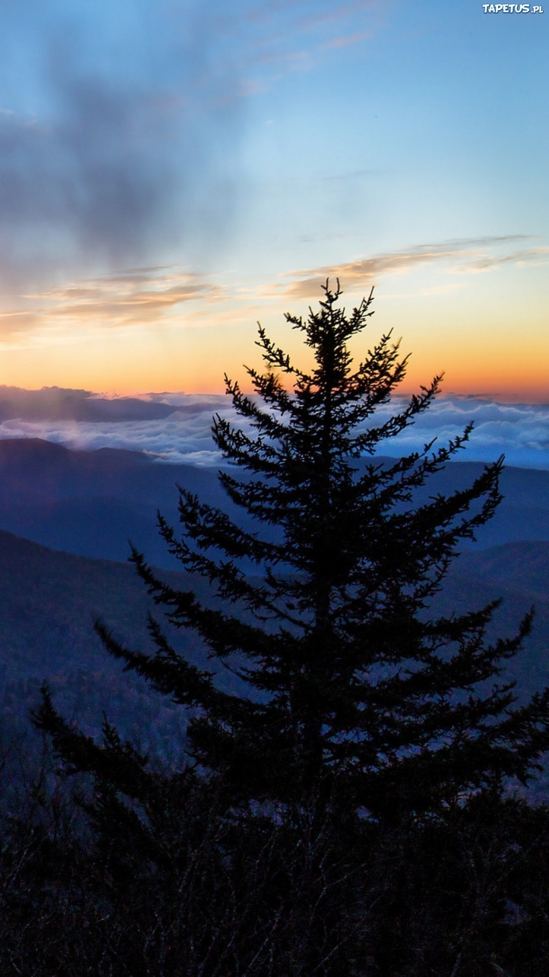 Silhouette of Trees and Mountains Under Cloudy Sky During Sunset. Wallpaper in 1080x1920 Resolution