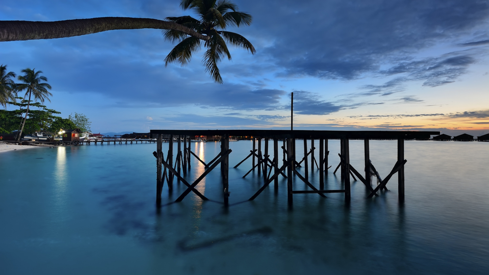 Palmiers Sur la Plage Pendant le Coucher du Soleil. Wallpaper in 1920x1080 Resolution