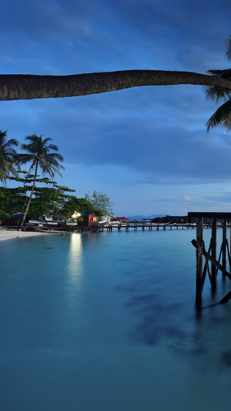 Palmen am Strand Bei Sonnenuntergang. Wallpaper in 750x1334 Resolution