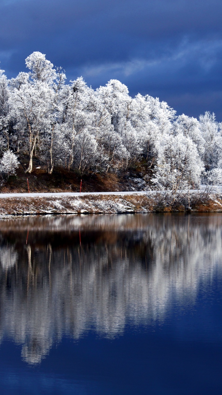 性质, 反射, 冬天, 冻结, 森林 壁纸 720x1280 允许