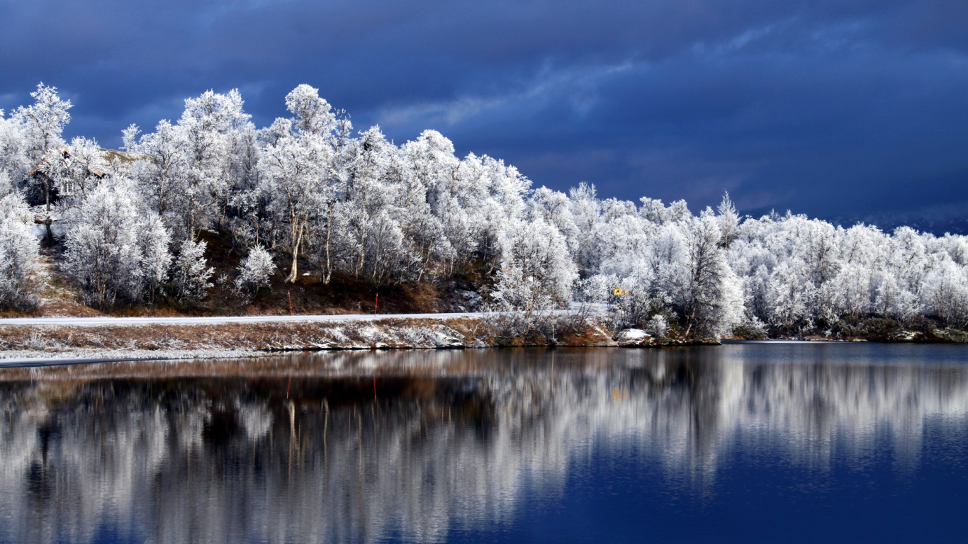 Arbres Blancs et Verts à Côté D'un Plan D'eau Sous un Ciel Bleu Pendant la Journée. Wallpaper in 1366x768 Resolution