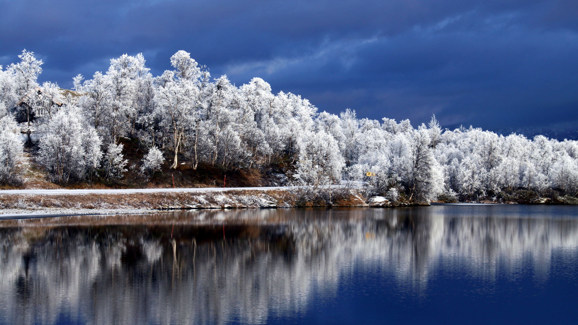 White and Green Trees Beside Body of Water Under Blue Sky During Daytime. Wallpaper in 1920x1080 Resolution